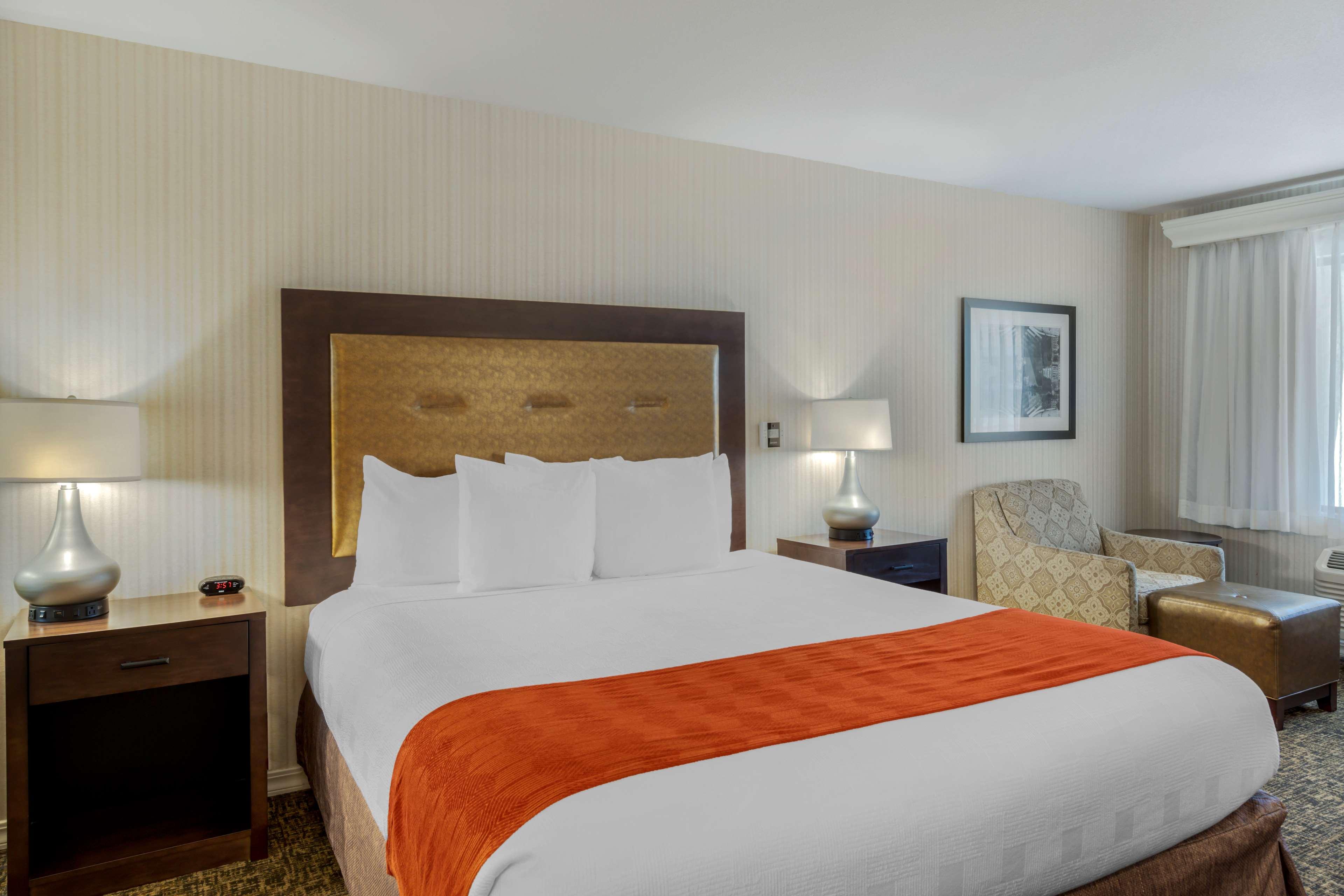 Room King Bed Non Smoking