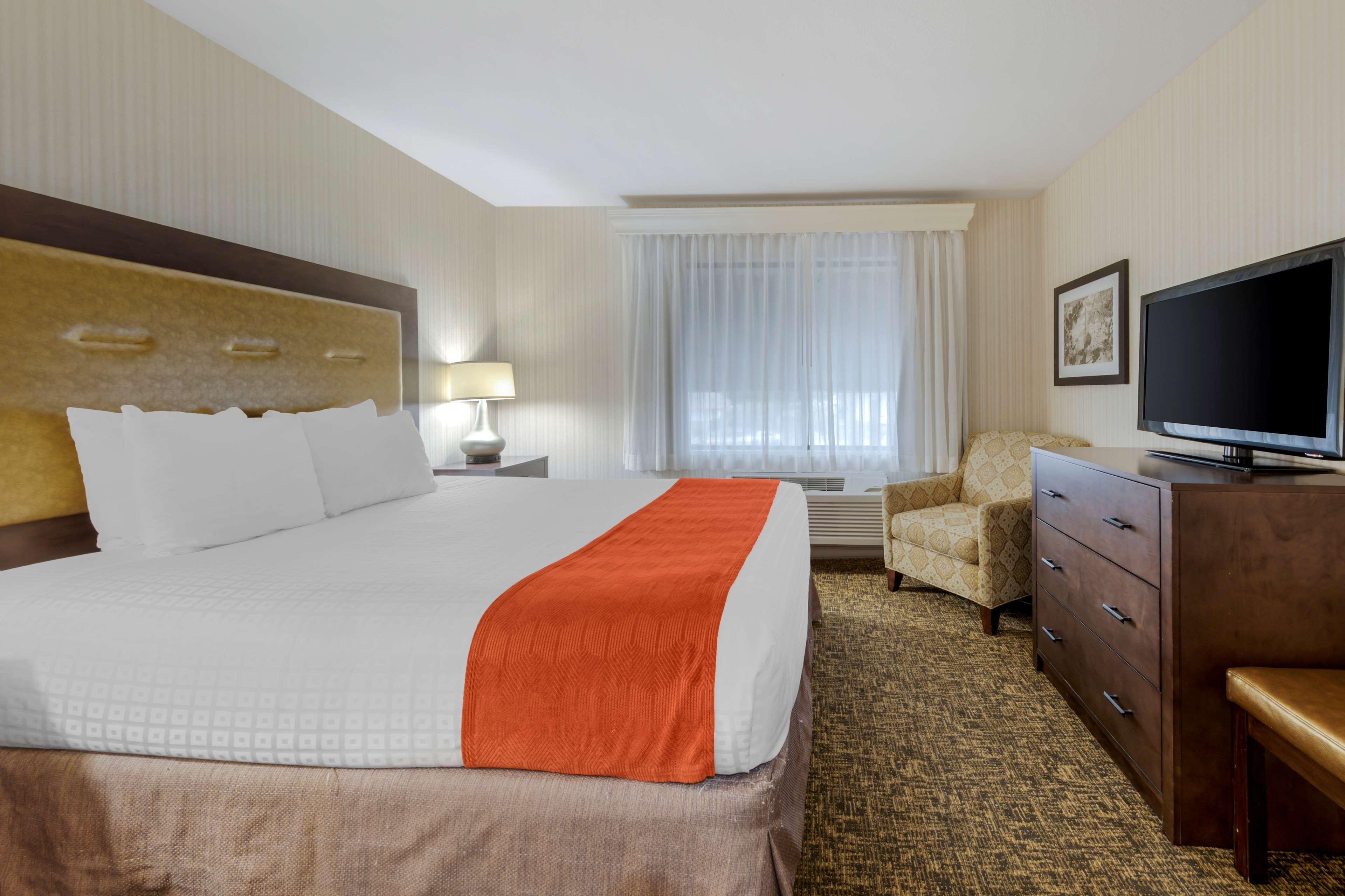 Room King Bed Non Smoking