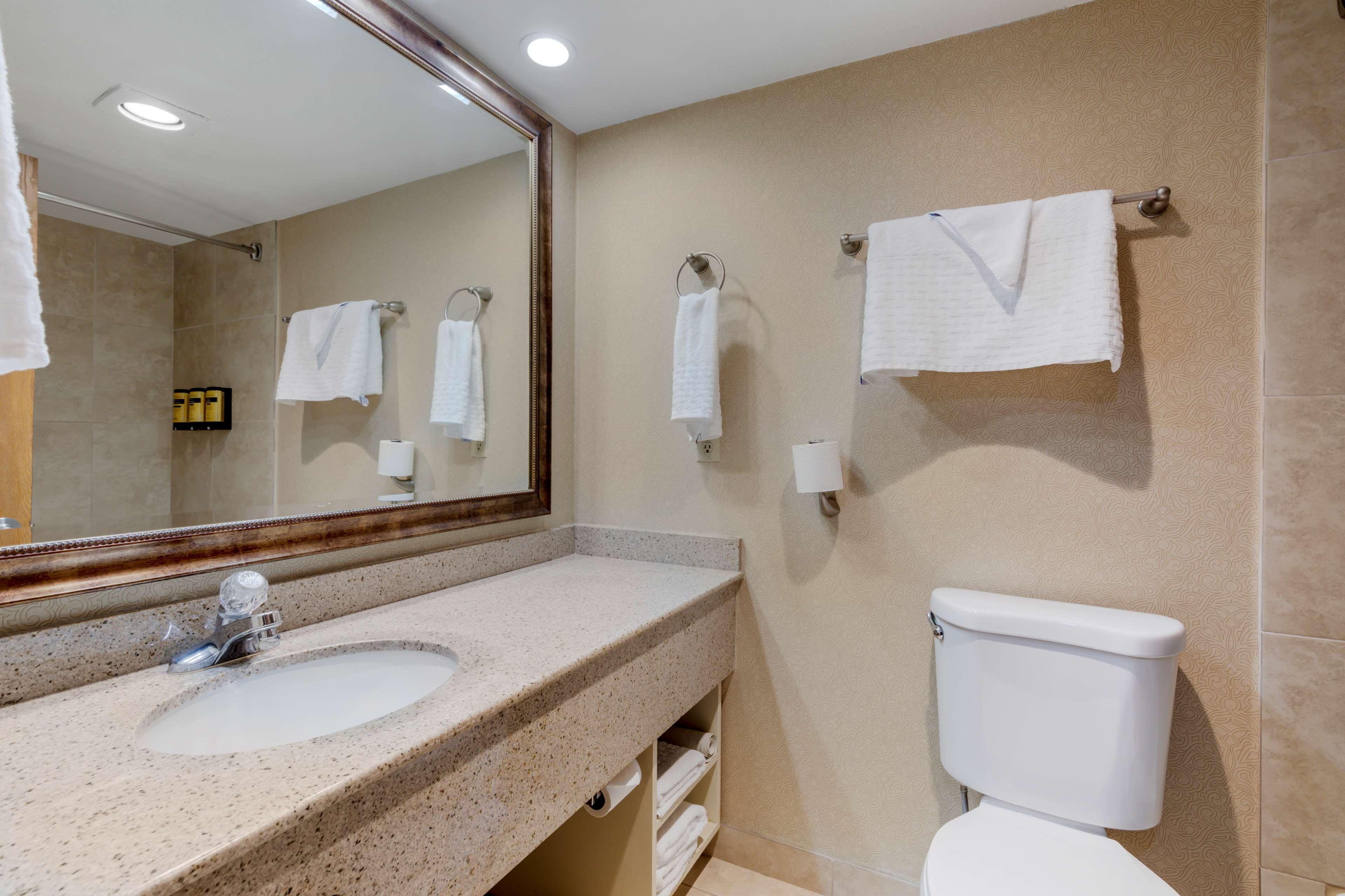 Room King Bed Non Smoking