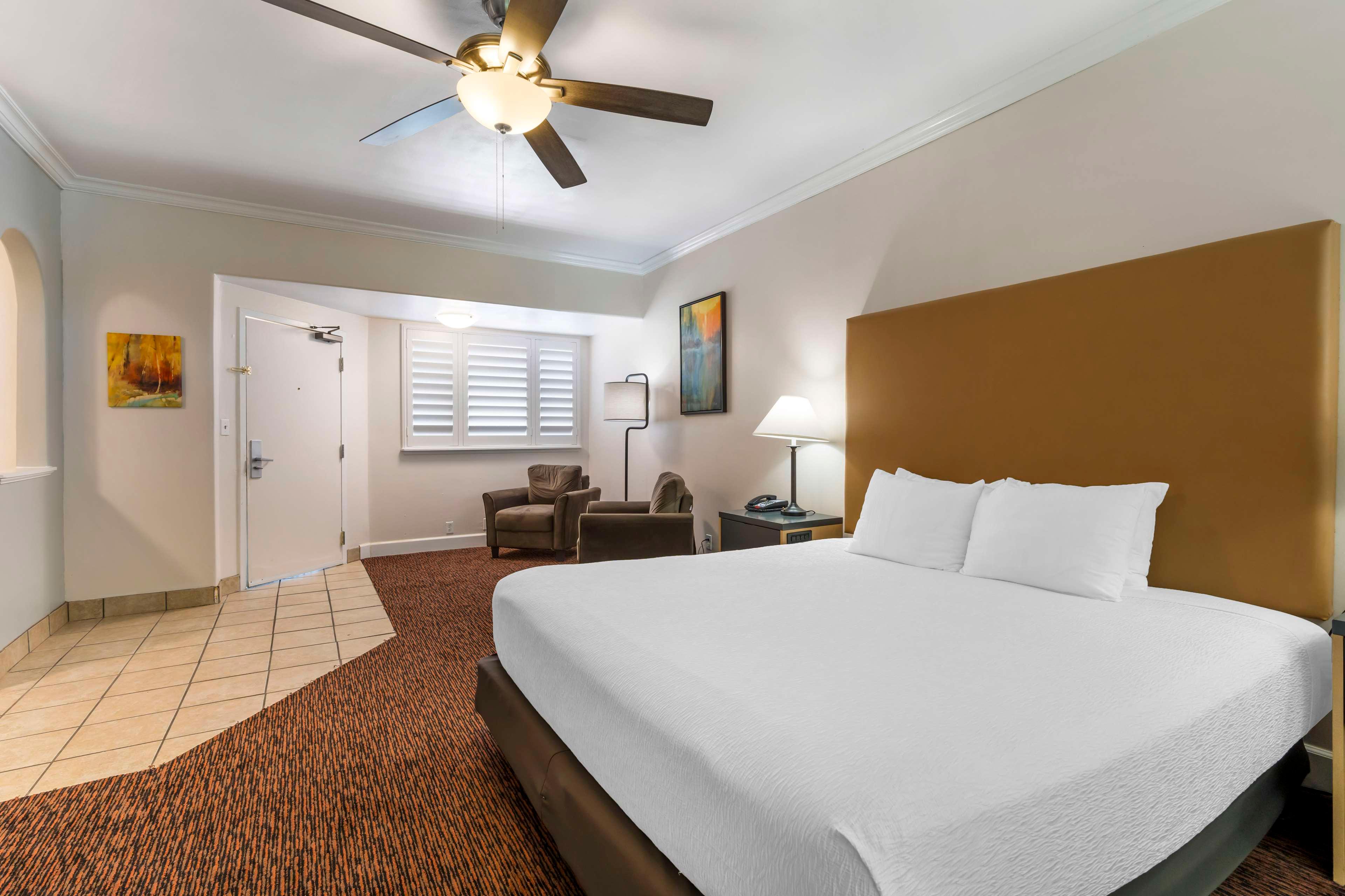 Suite King Bed Non Smoking