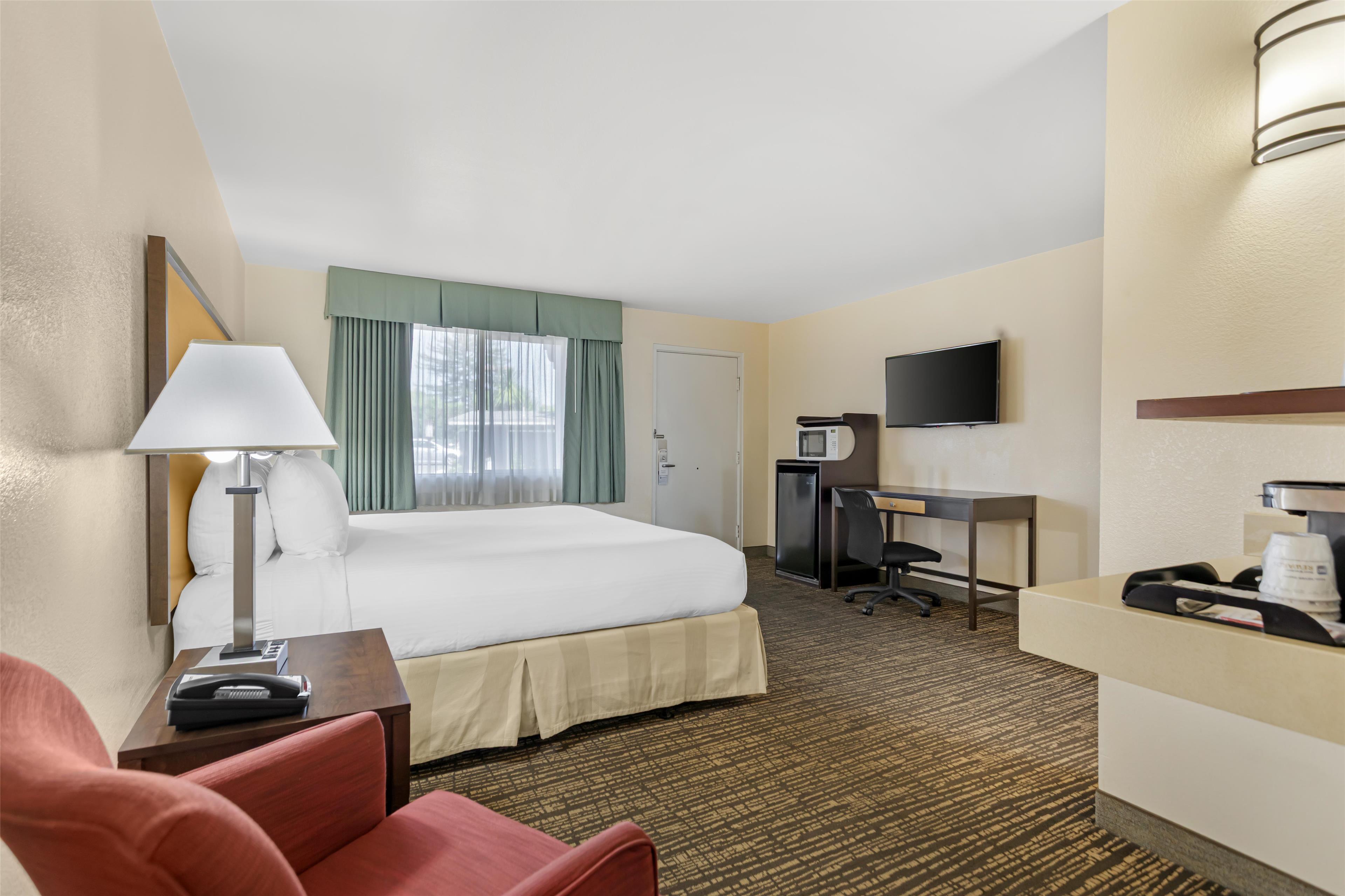 Room King Bed Non Smoking