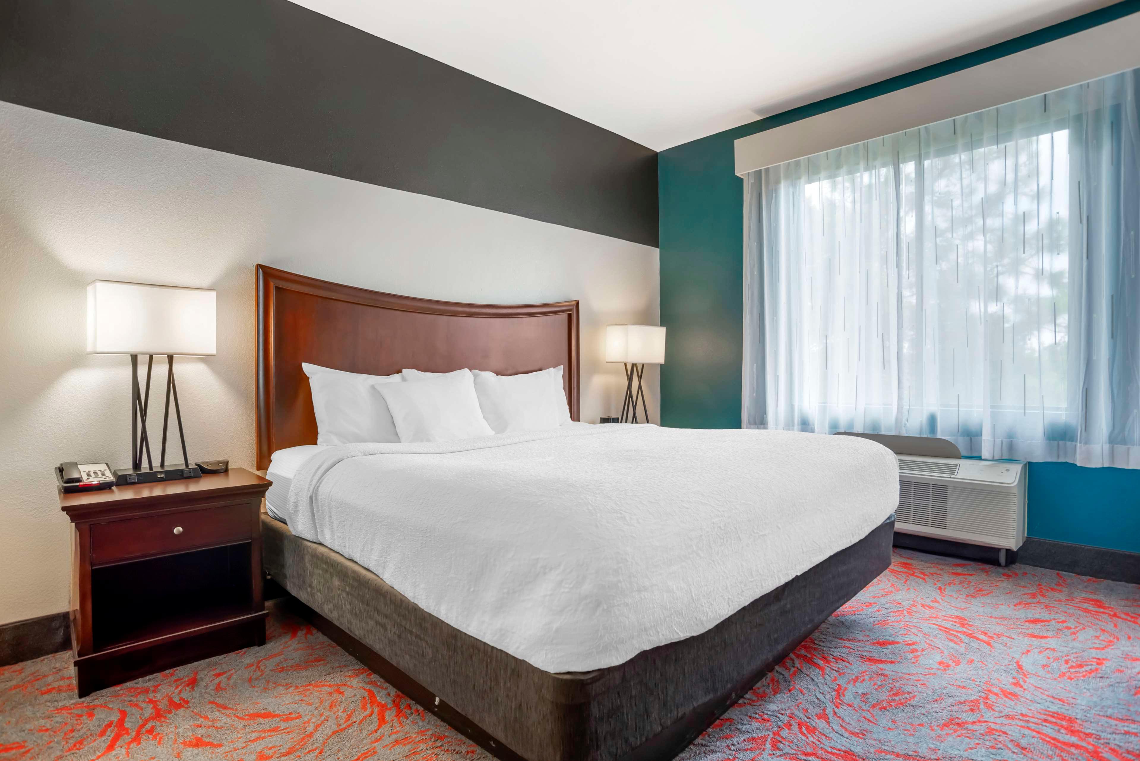 Suite King Bed Non Smoking