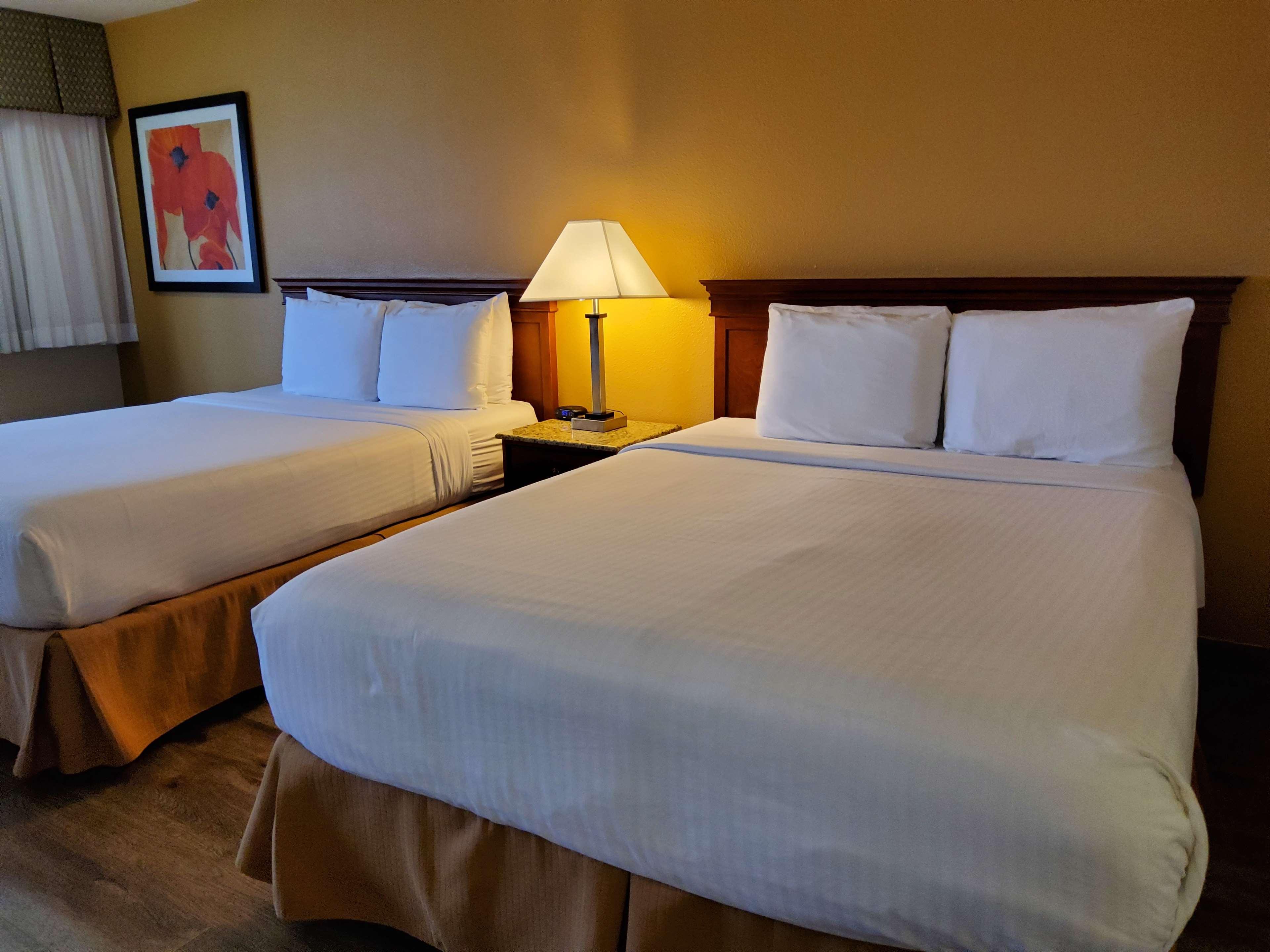 Double Accessible-two Queen Beds