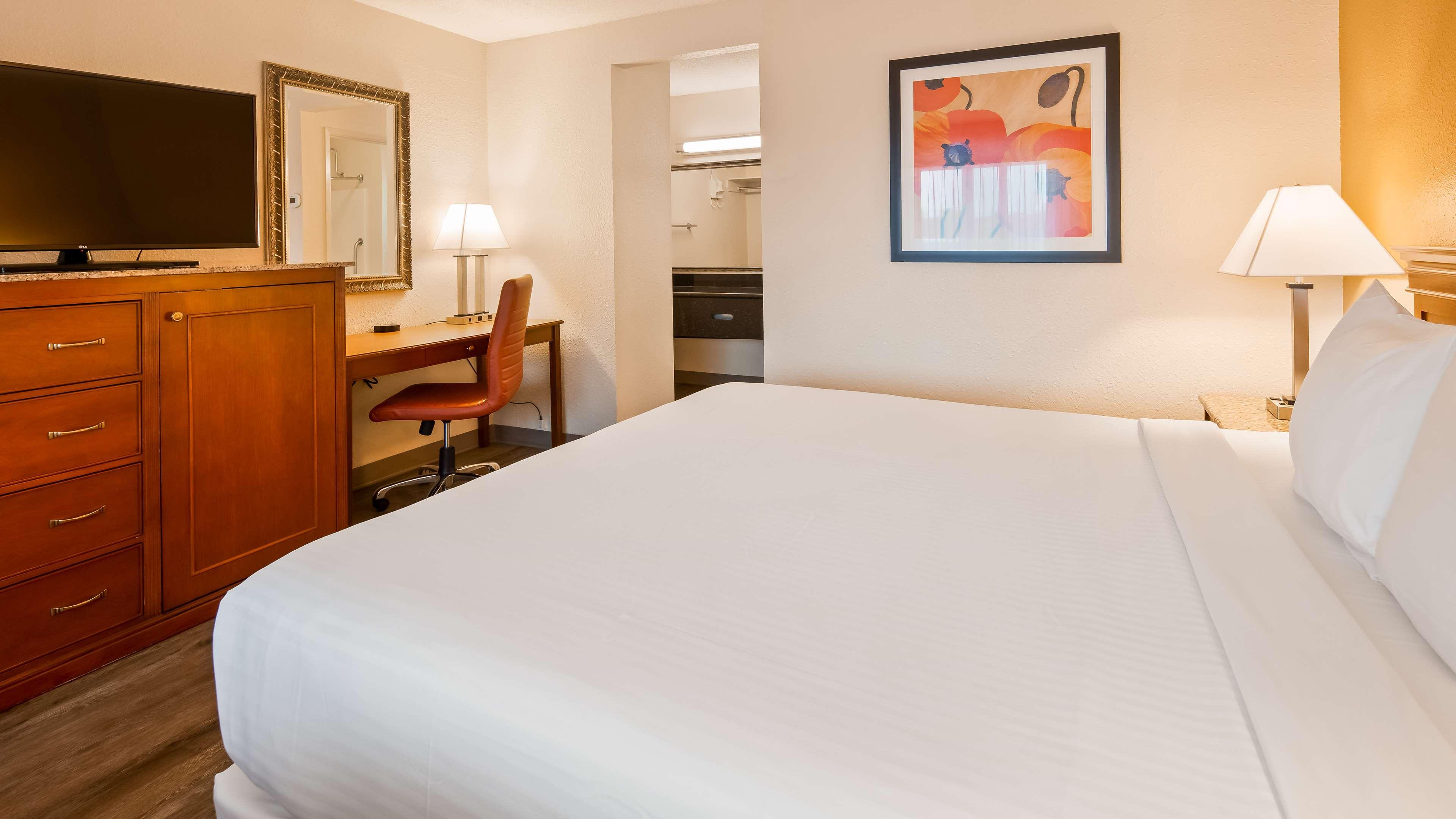 Double King Bed Non Smoking