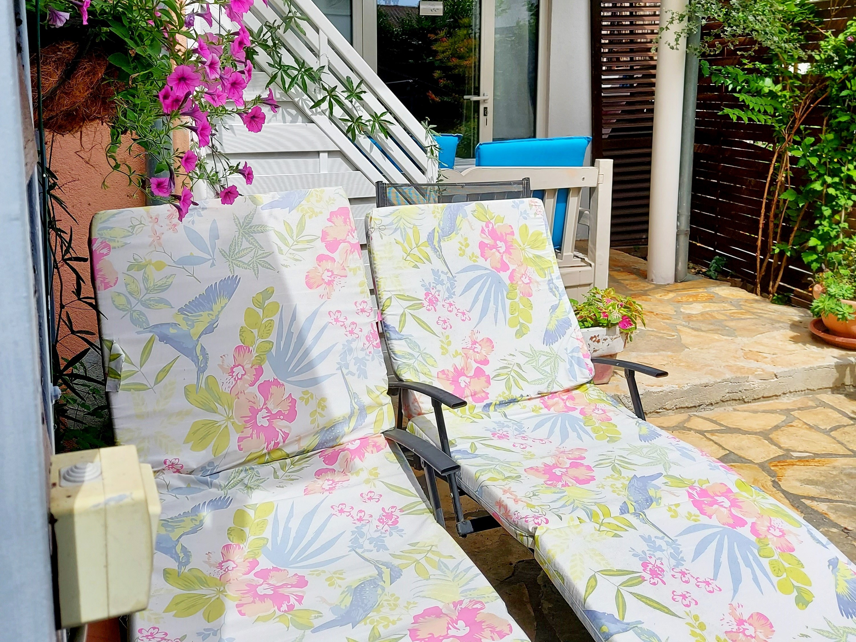 Apartment Capacity 3