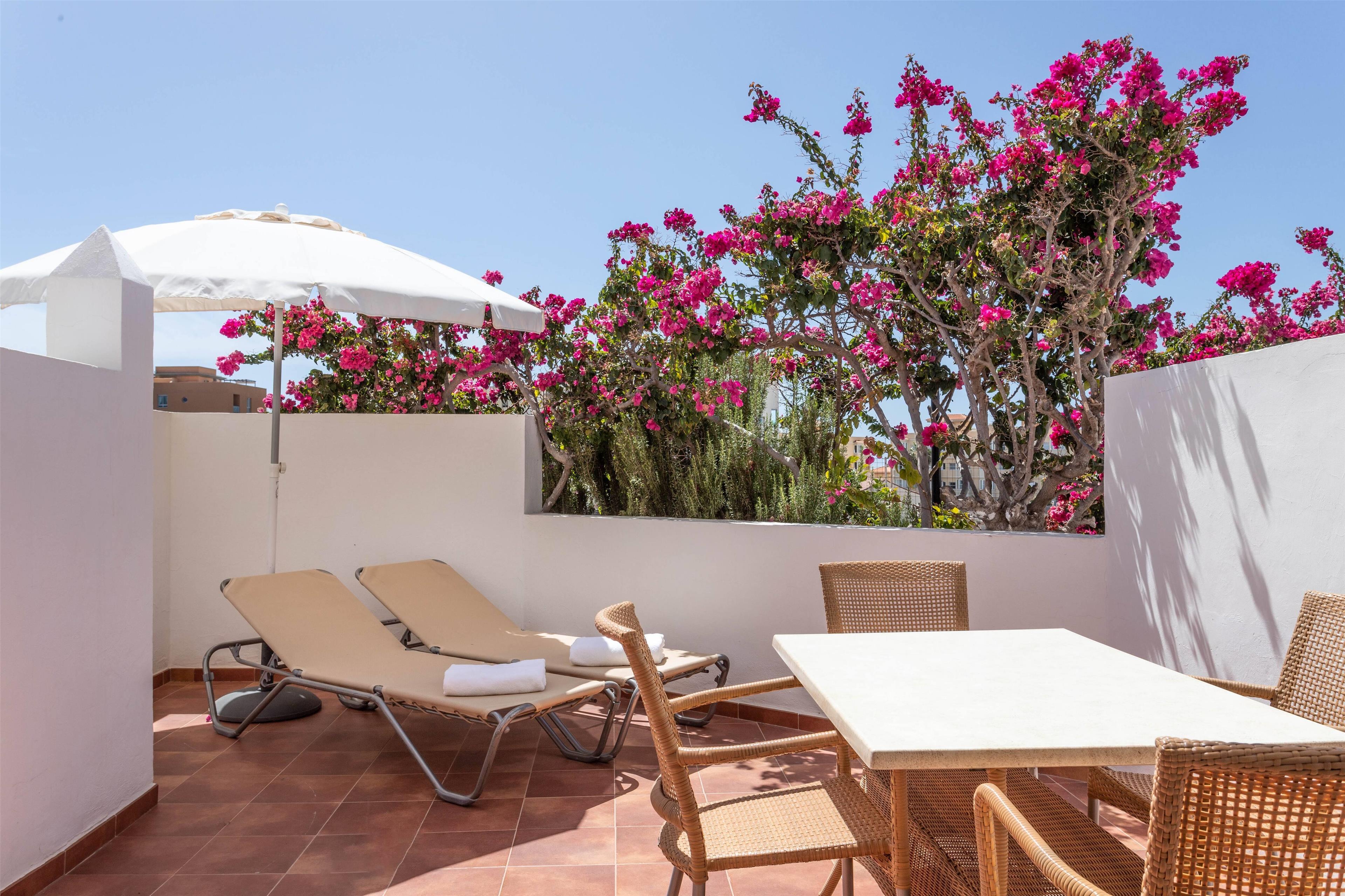 Apartment One Bedroom with Terrace