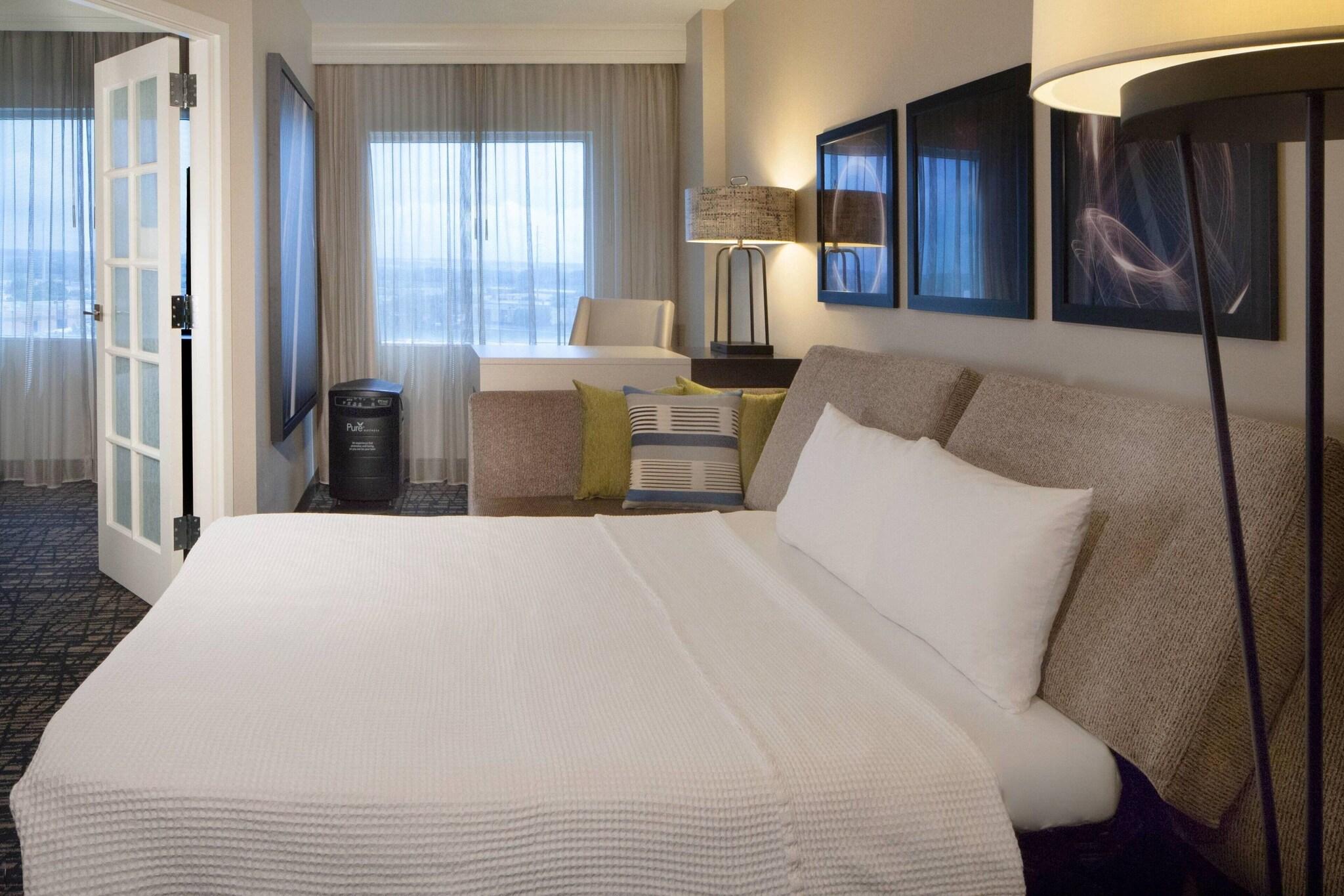 Suite King Bed One Bedroom 