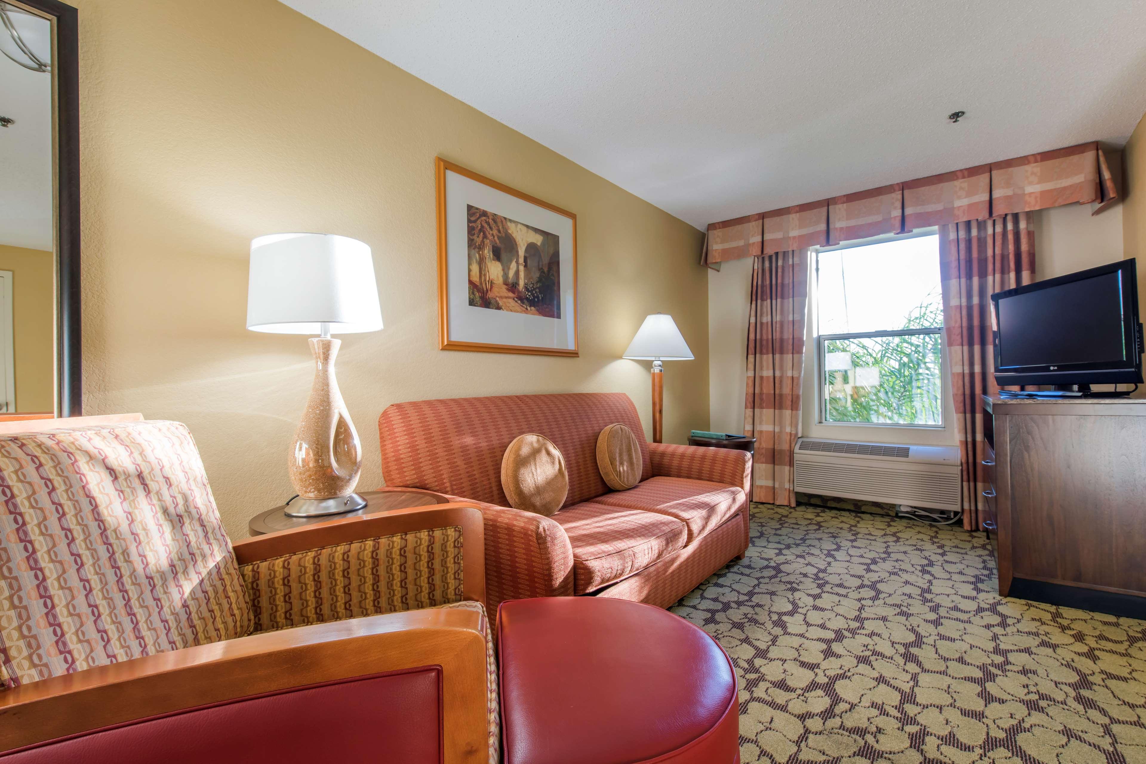 Suite King Bed One Bedroom 