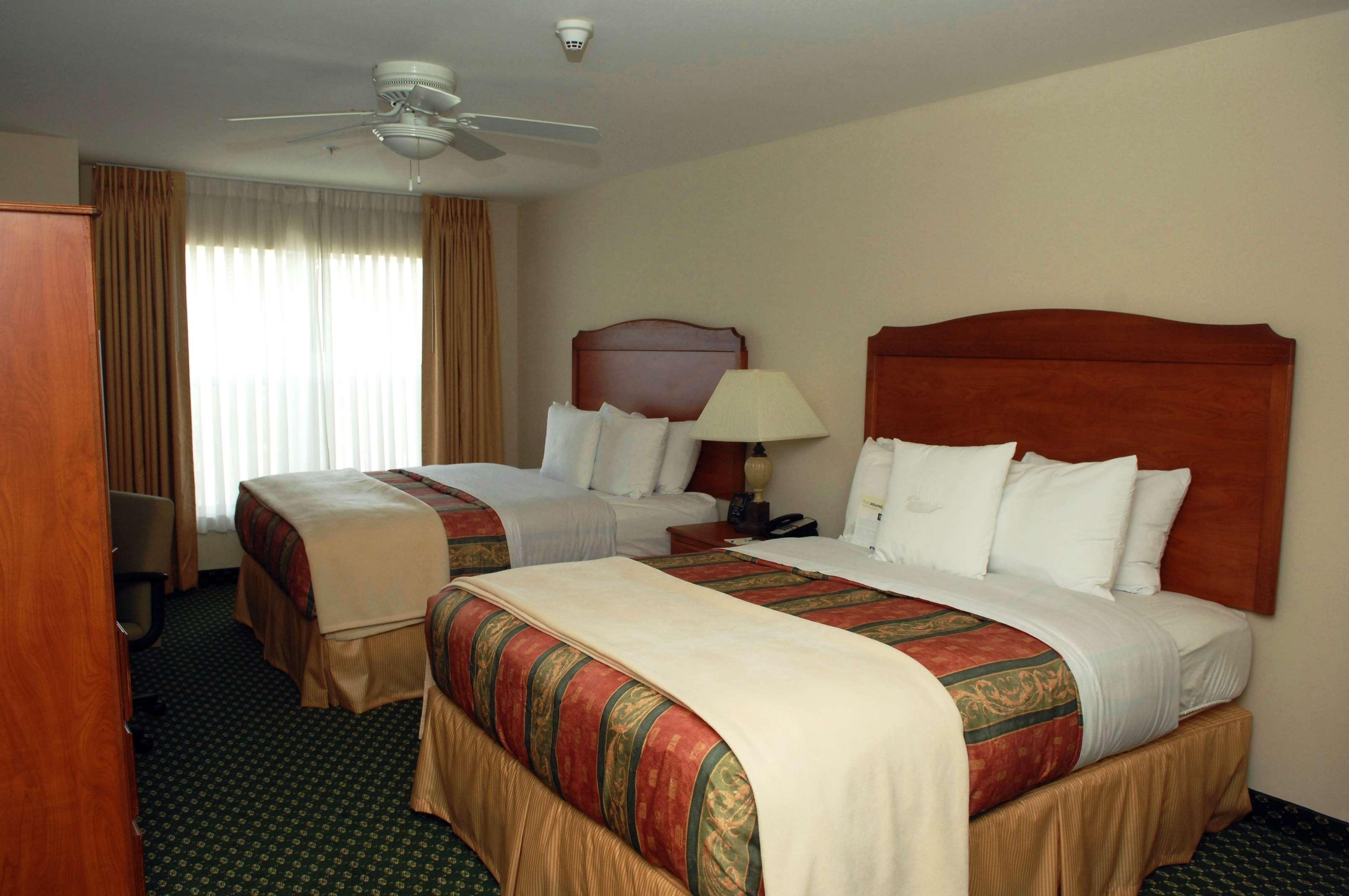 Suite Two Queen Beds