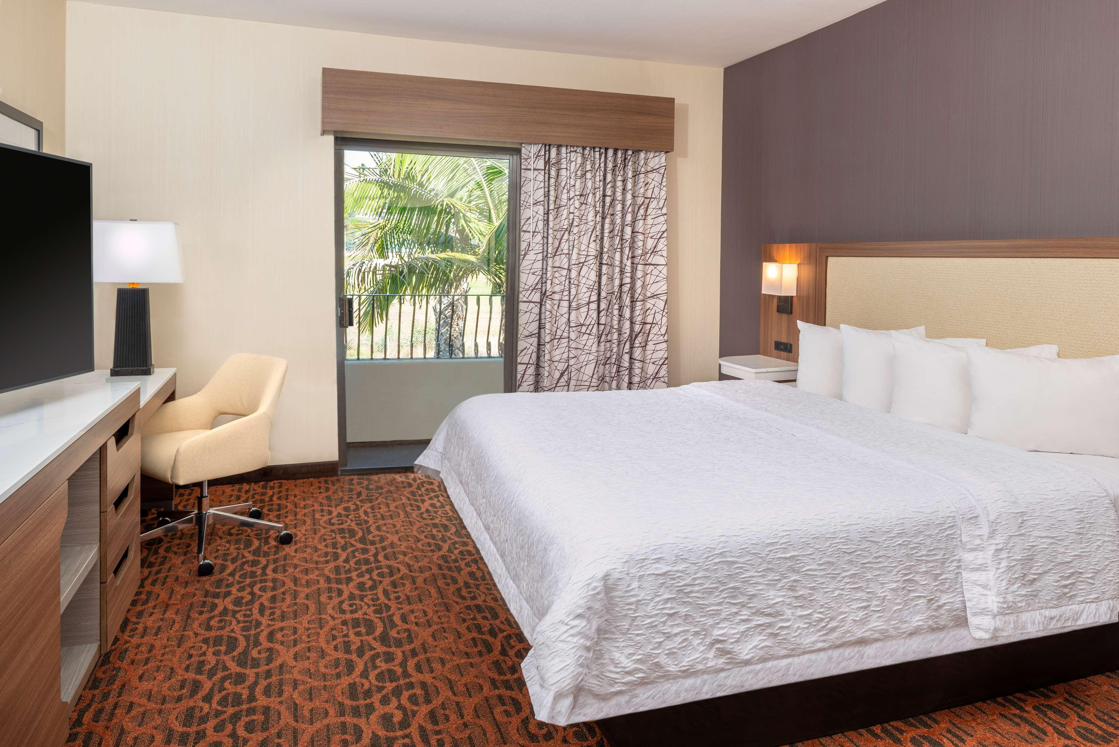 Suite King Bed One Bedroom 