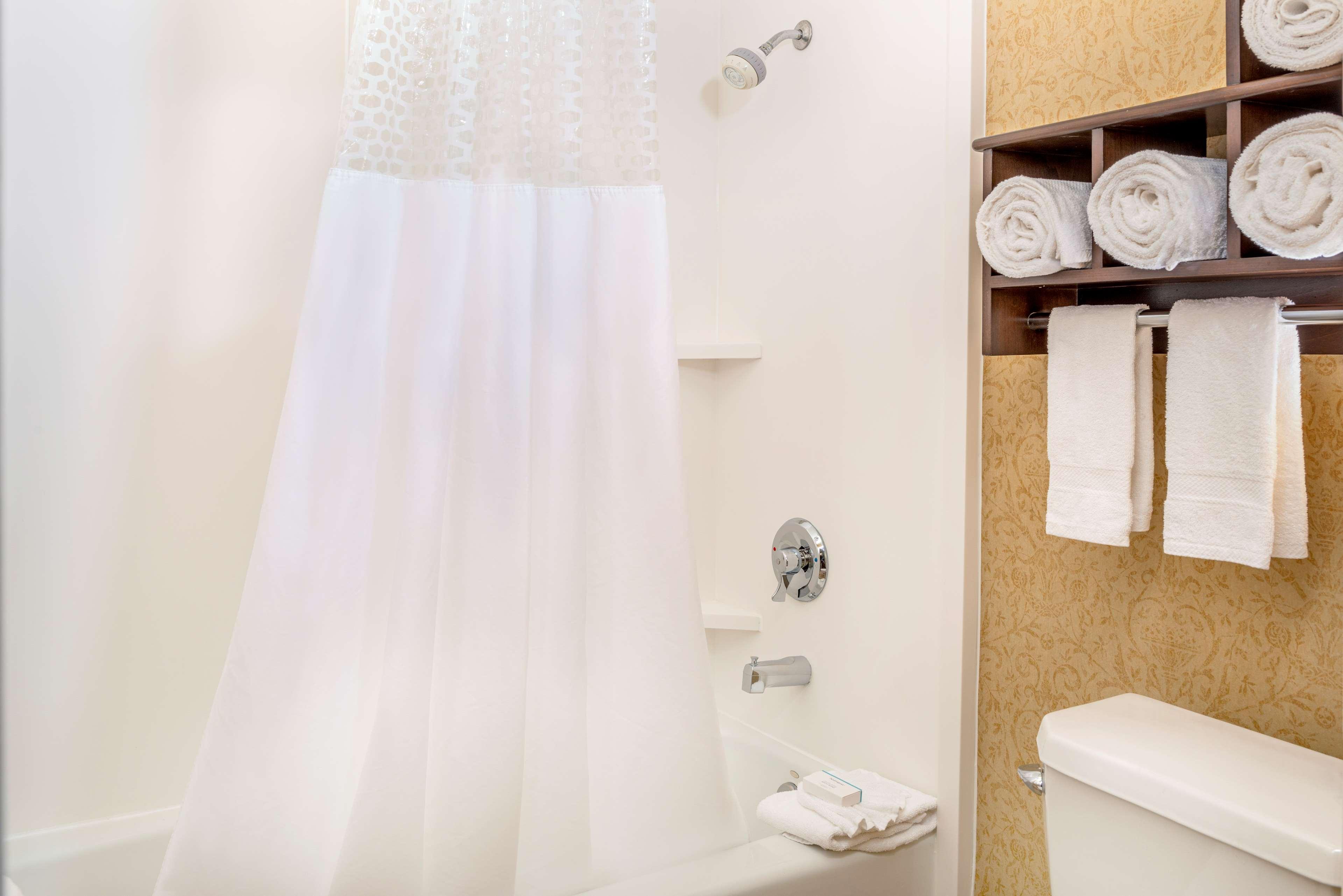 Suite King Bed One Bedroom 