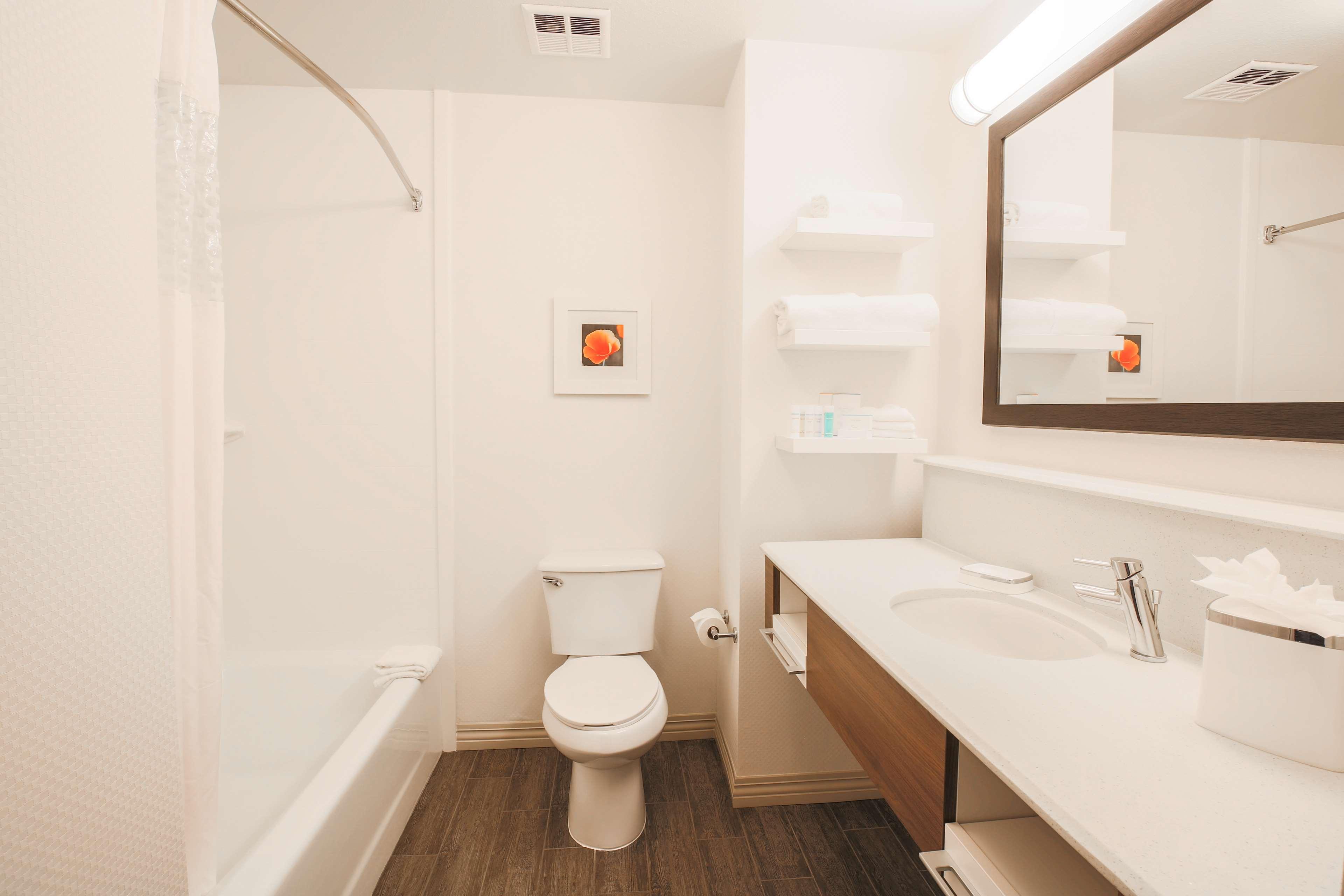 Studio Two Queen Beds