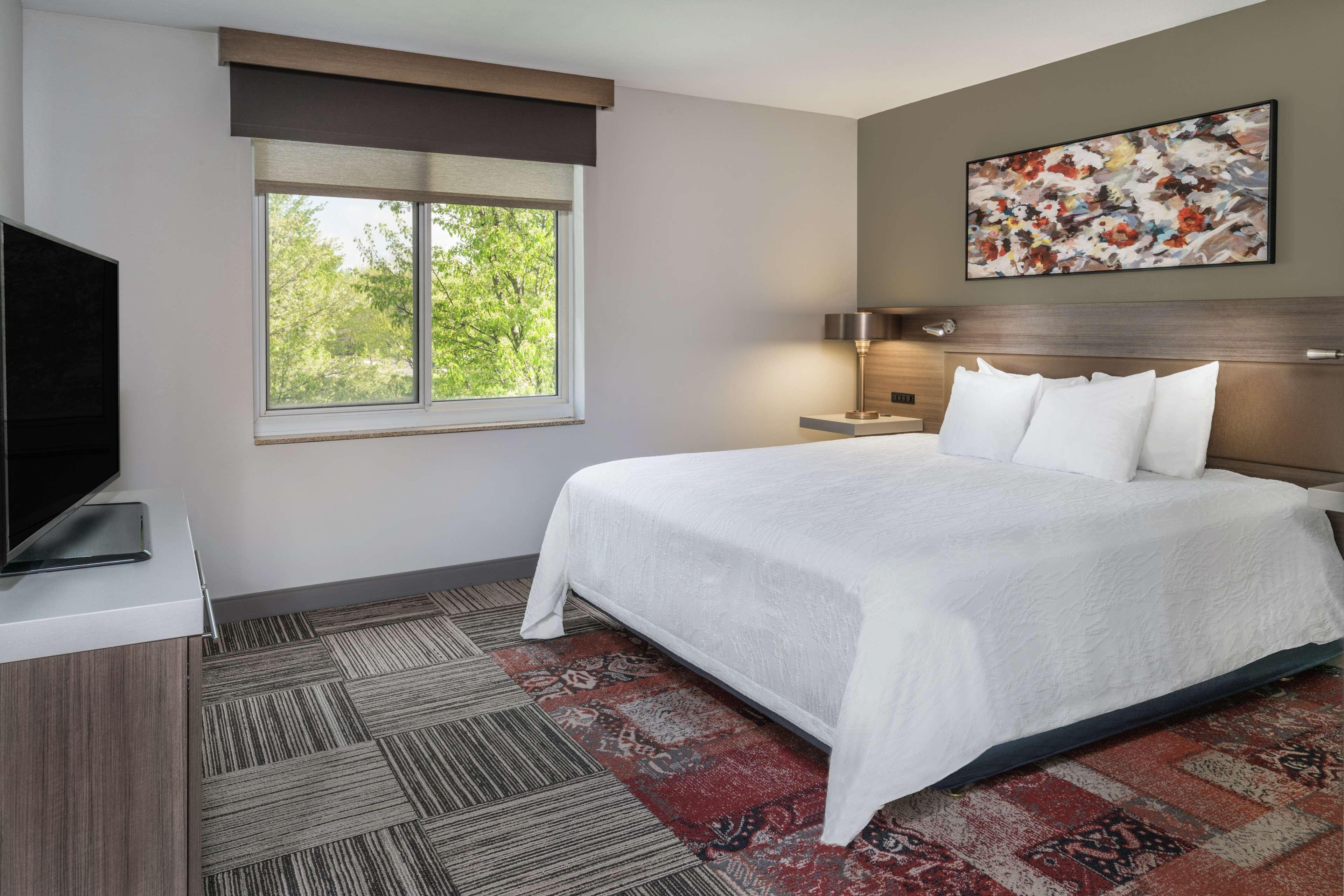 Suite King Bed One Bedroom 