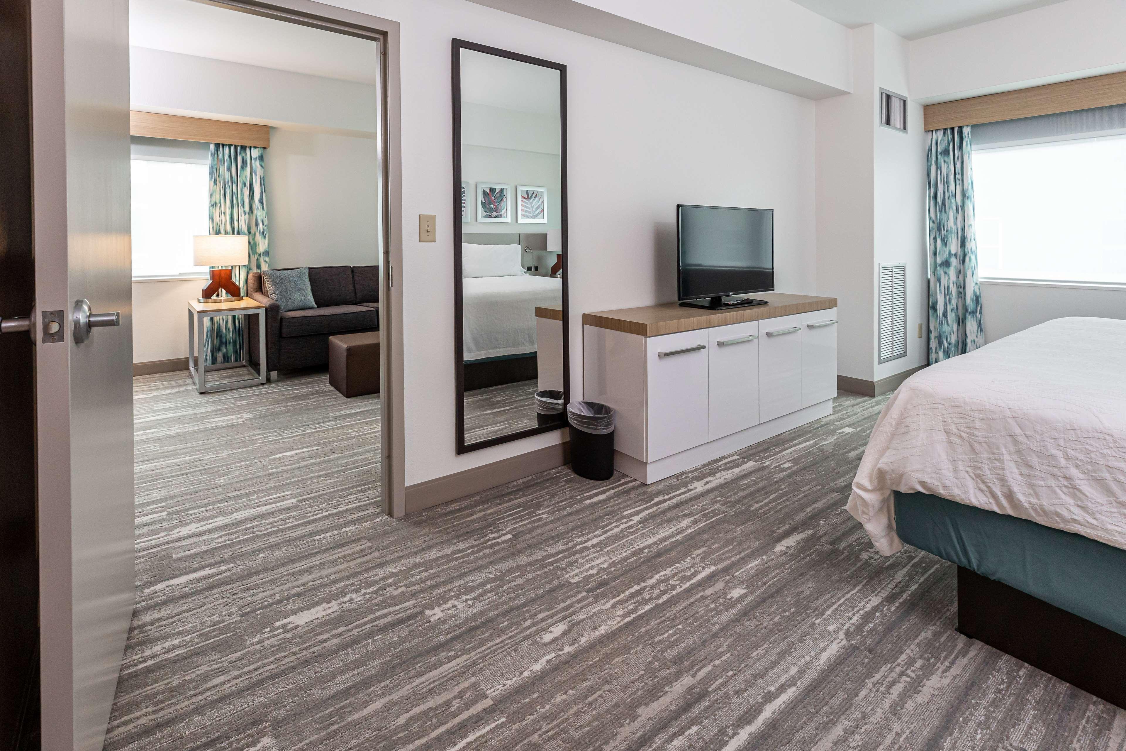 Suite King Bed One Bedroom 