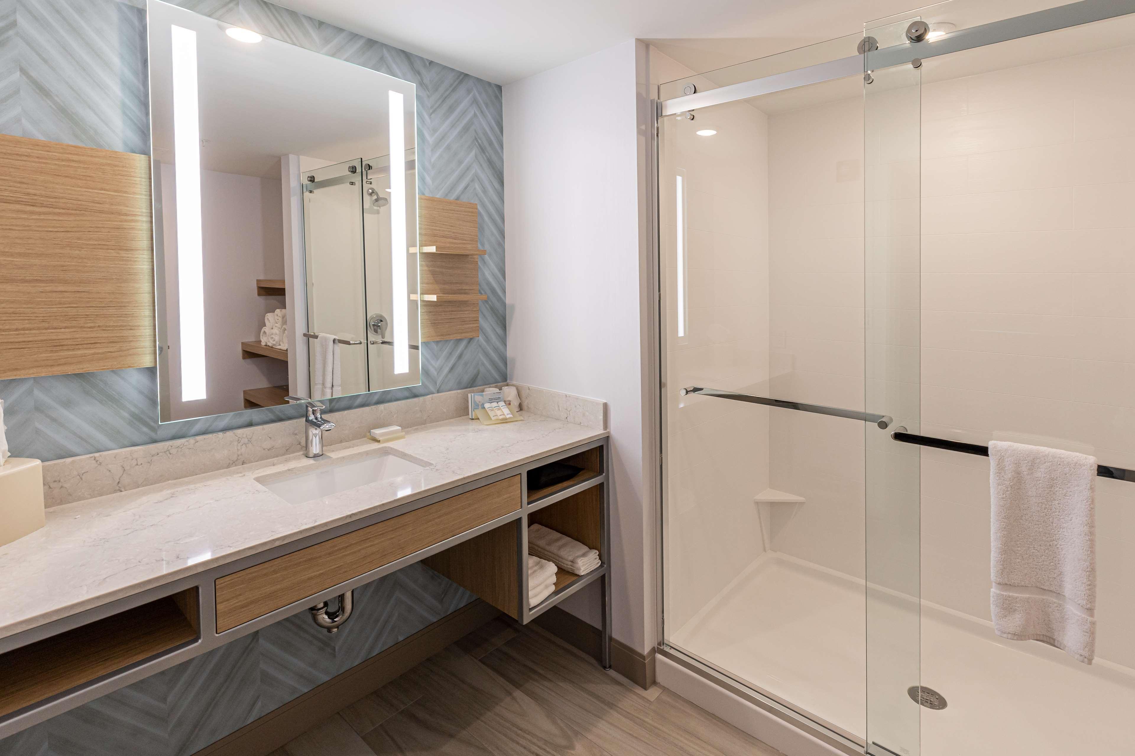 Suite King Bed One Bedroom 