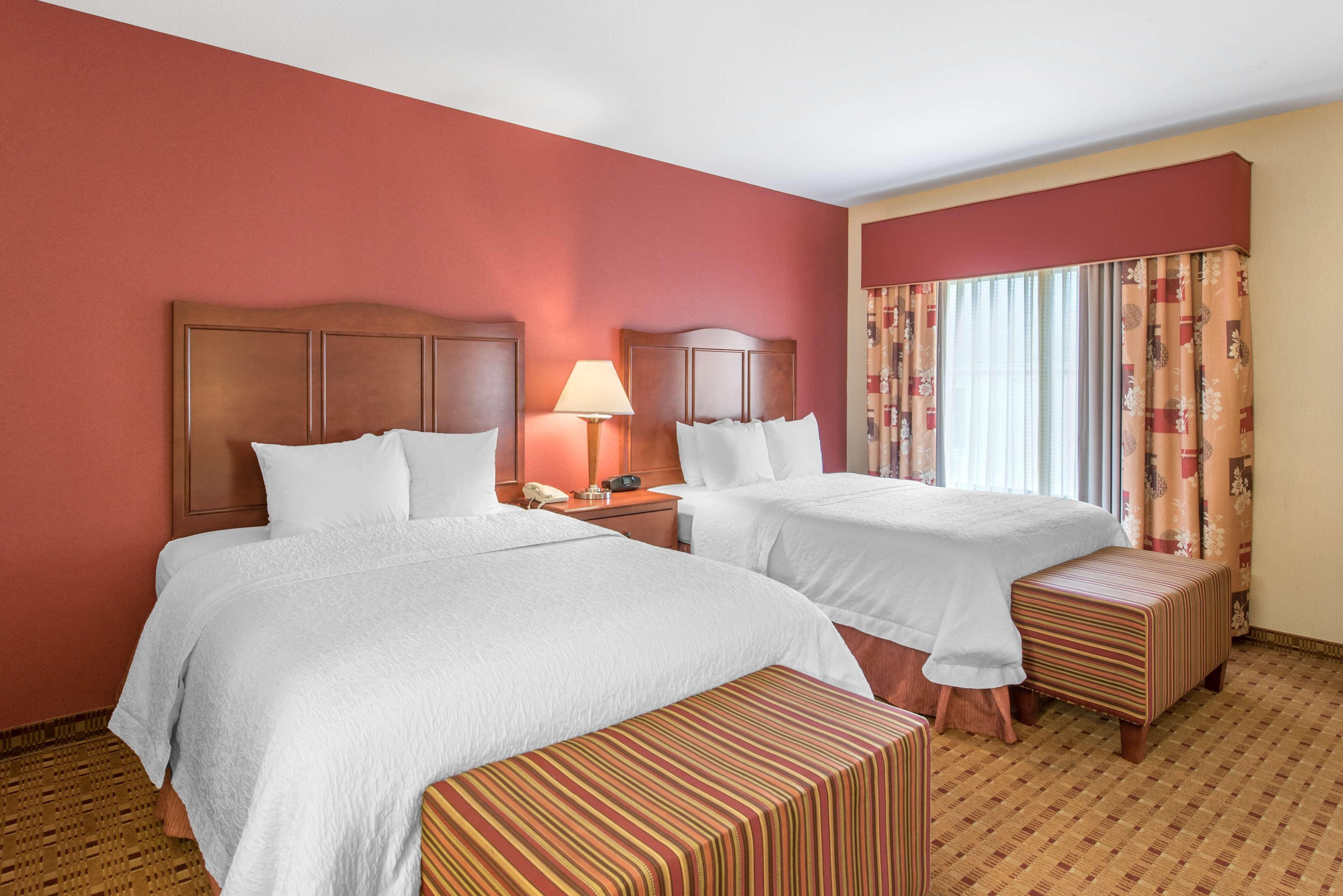 Studio Two Queen Beds Non Smoking