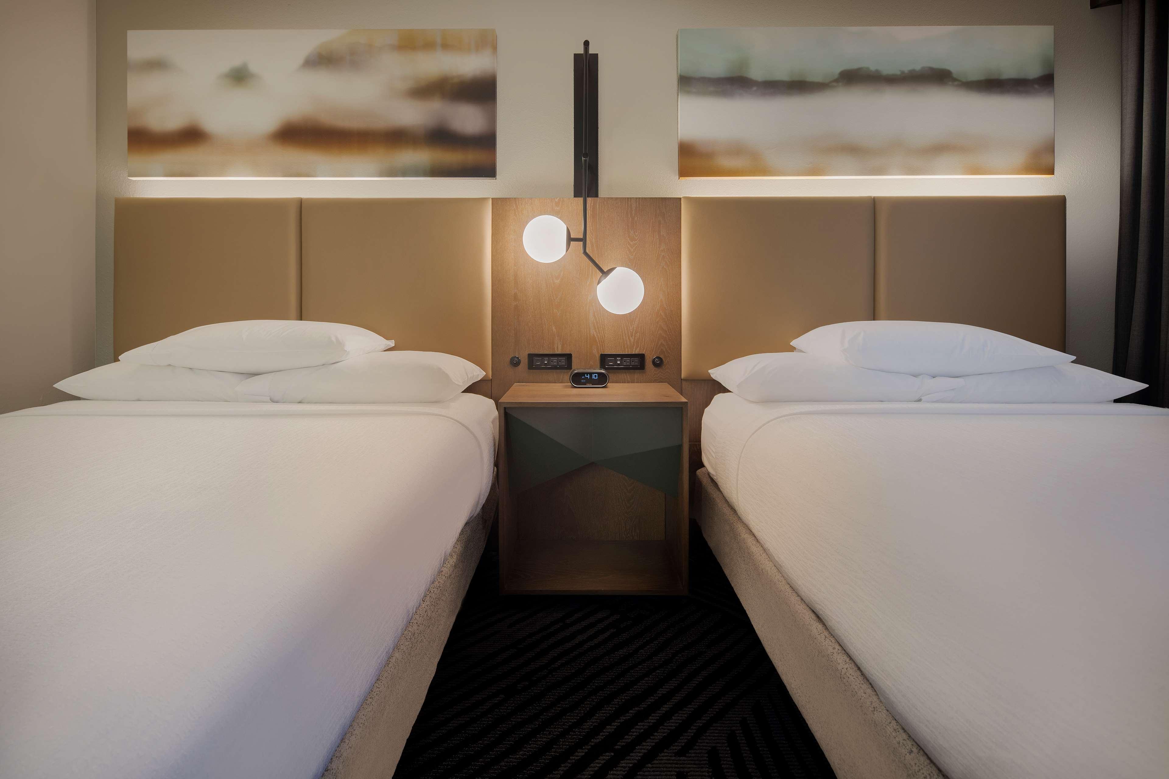 Suite King Bed One Bedroom 