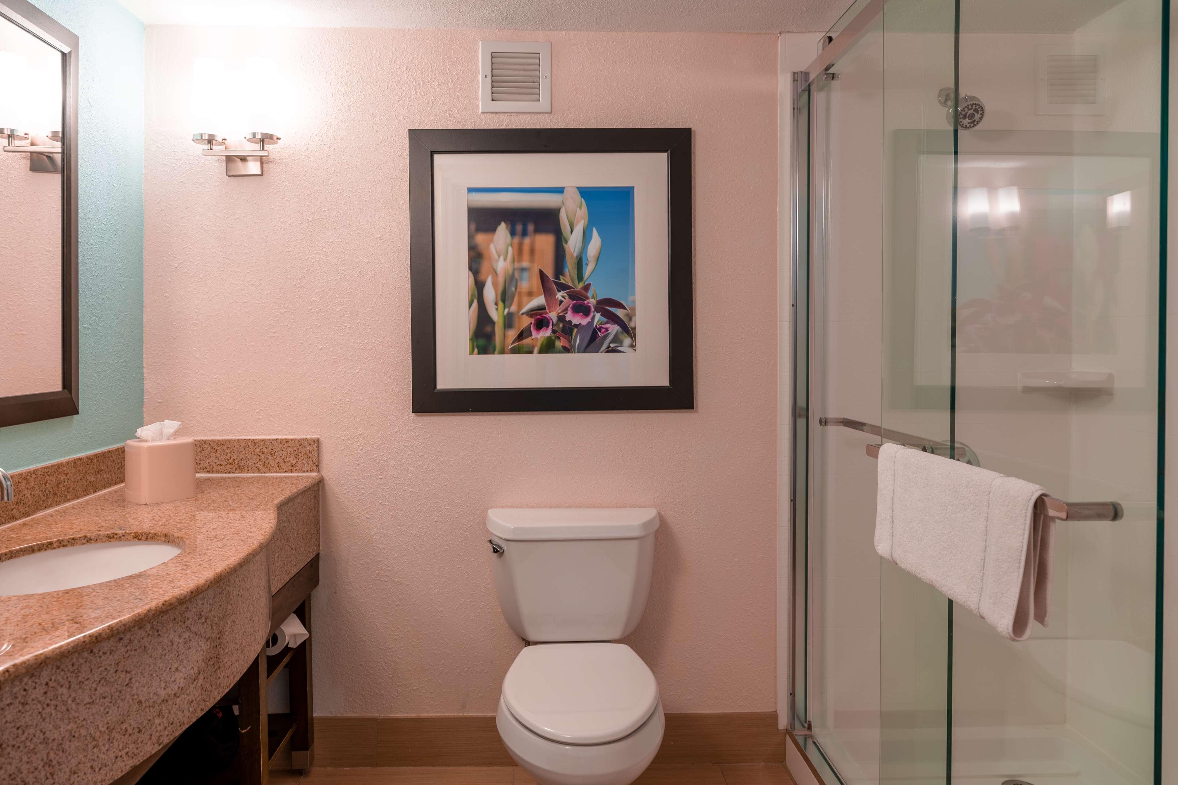 Junior Suite King Size Bed