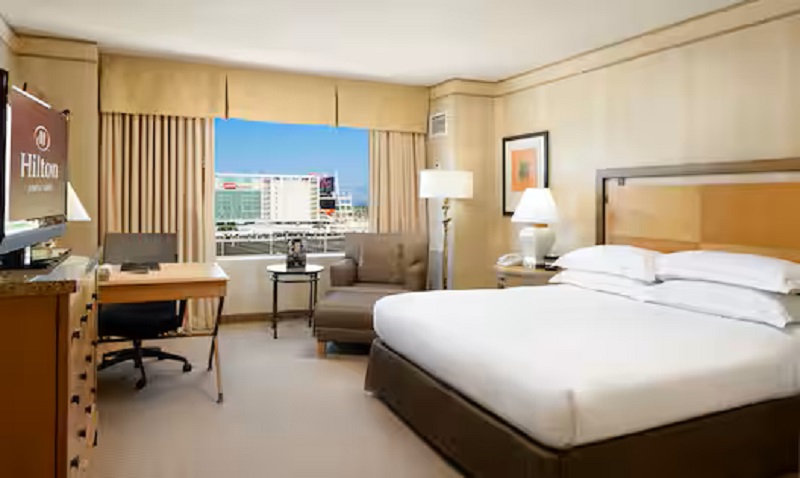 Double City View King Bed