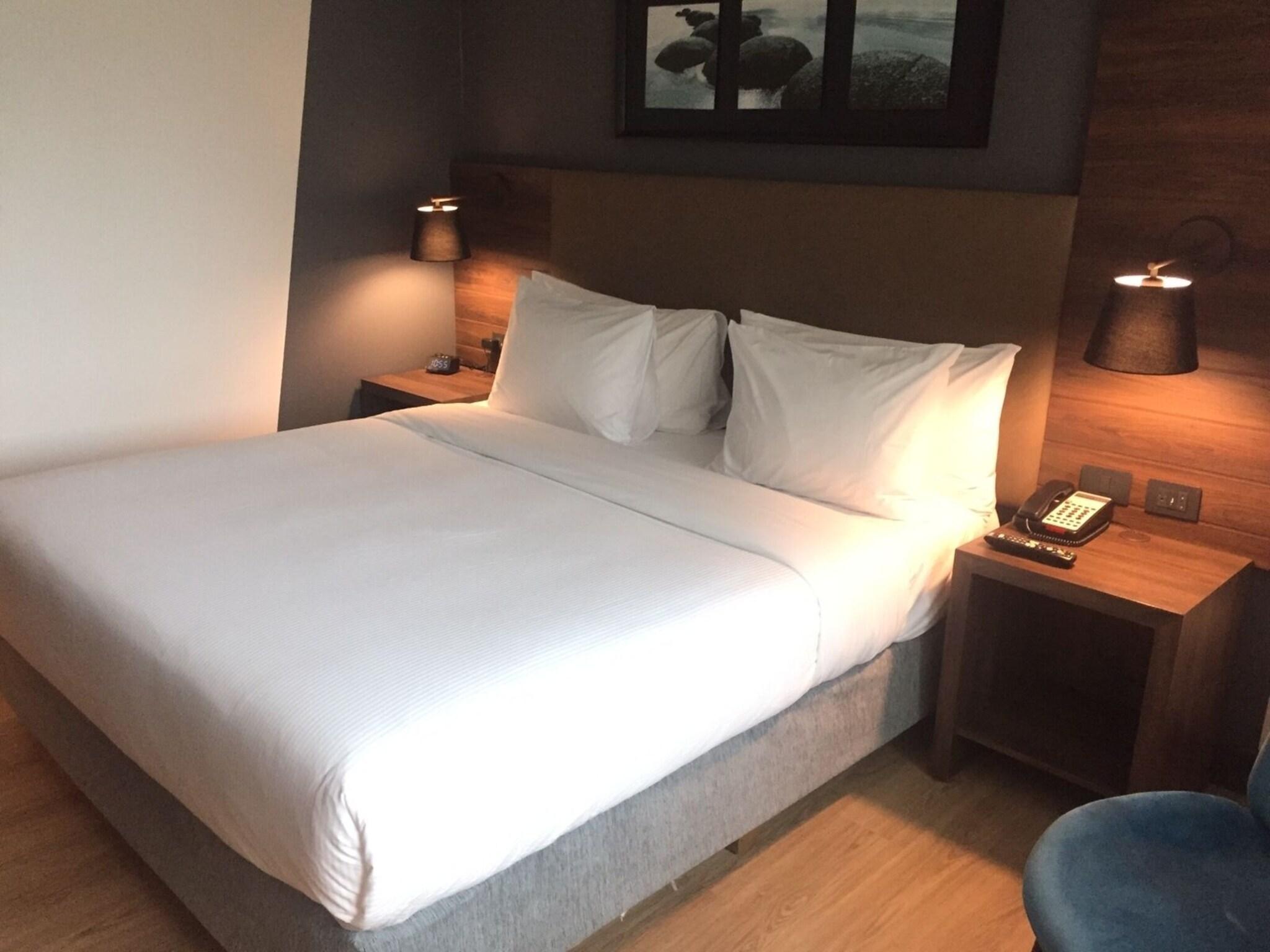 Suite King Bed One Bedroom 