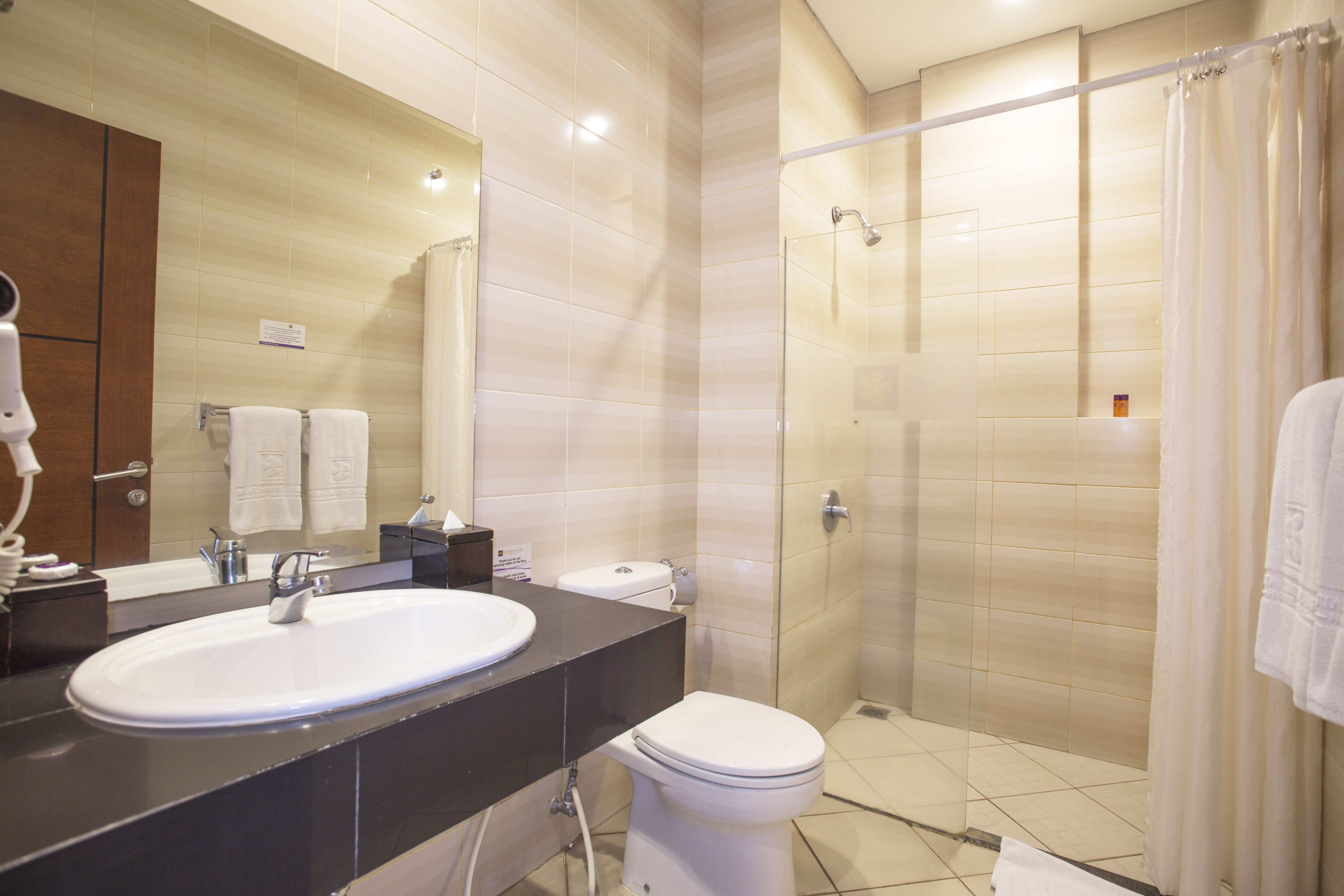 Double or Twin Standard