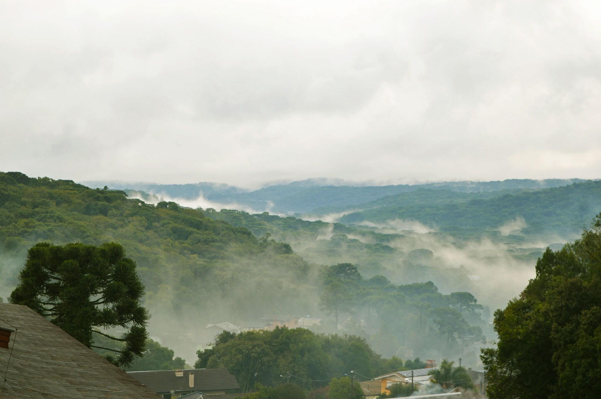 Apartment Superior King Bed