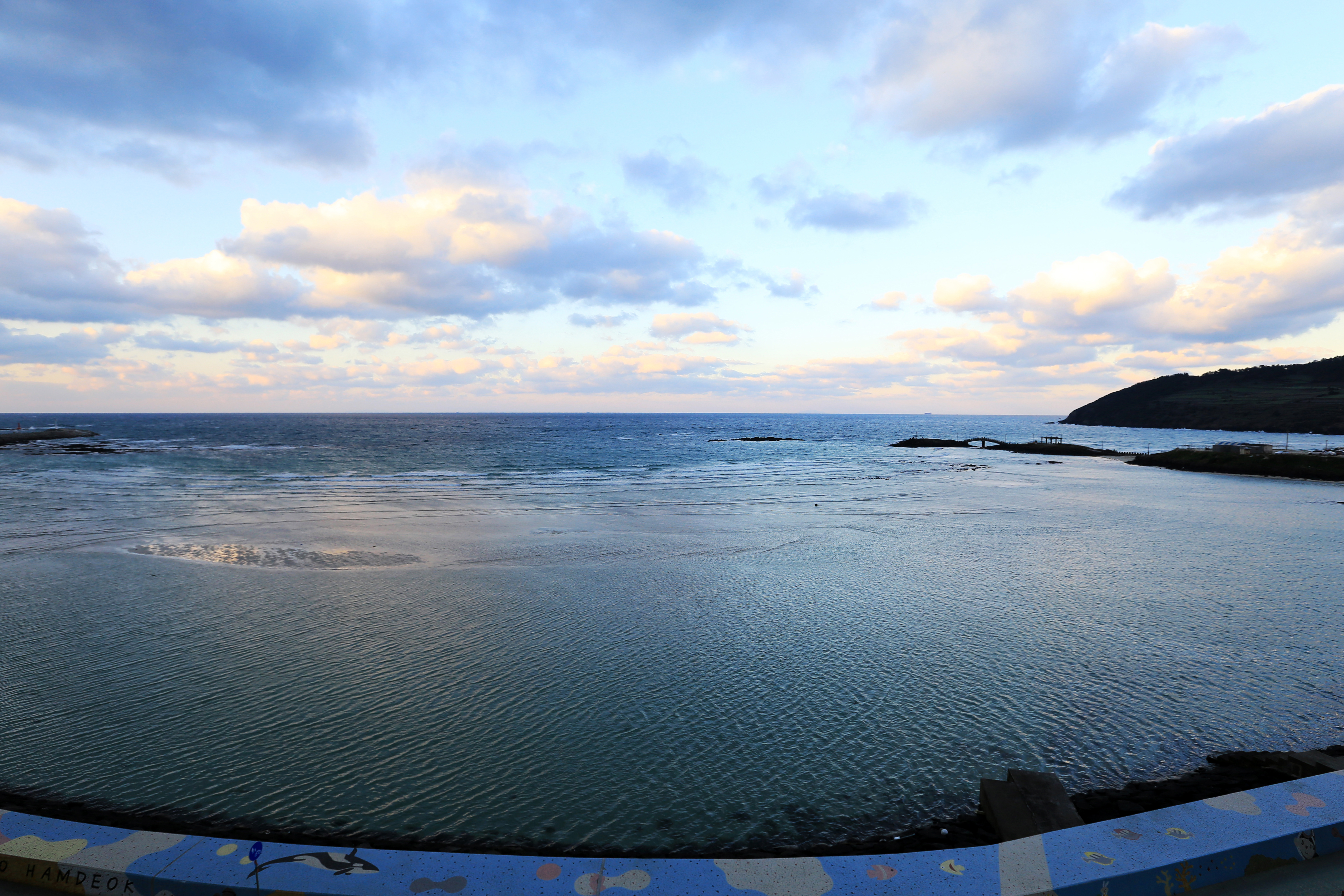 Twin Deluxe Ocean View