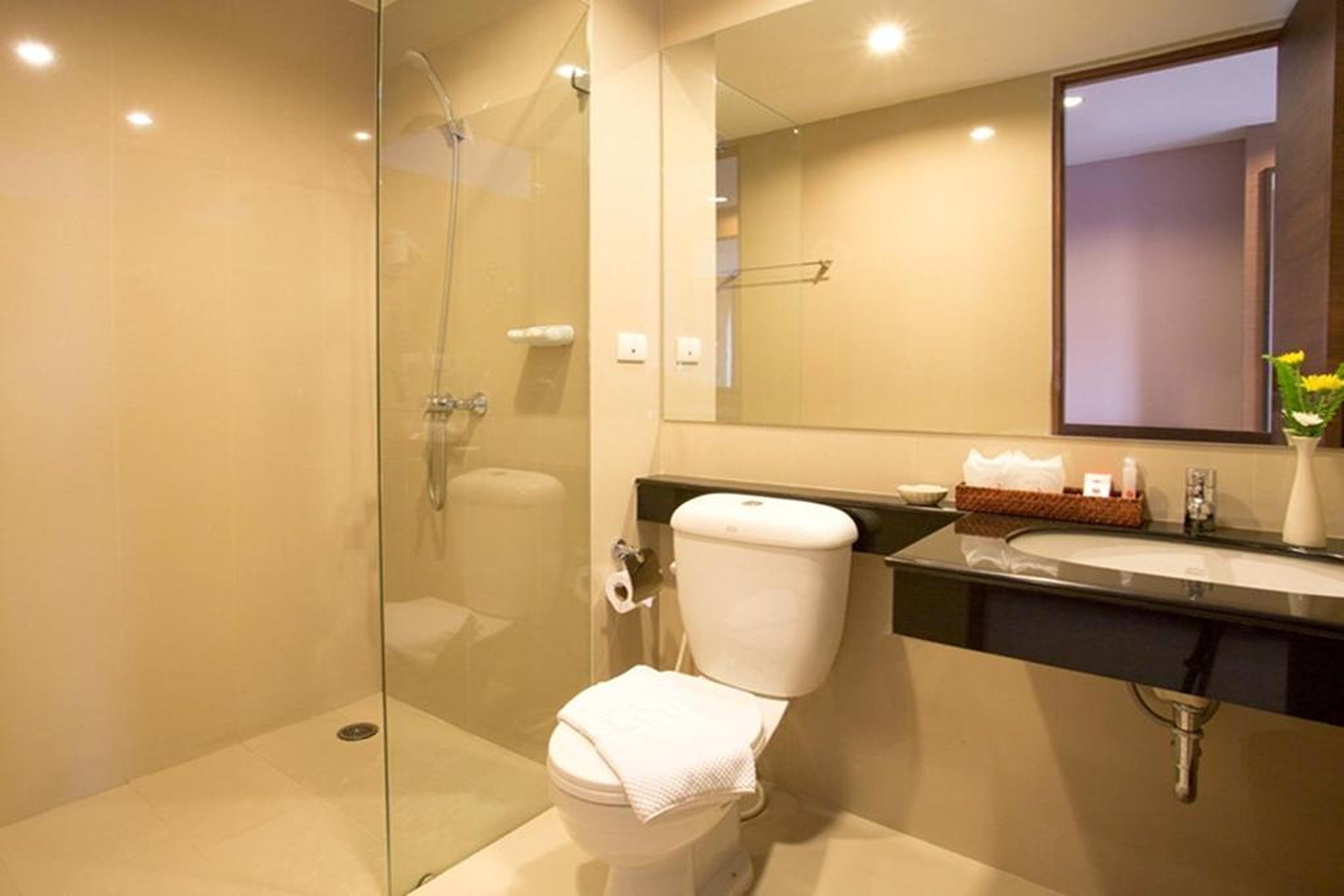 Double or Twin Superior