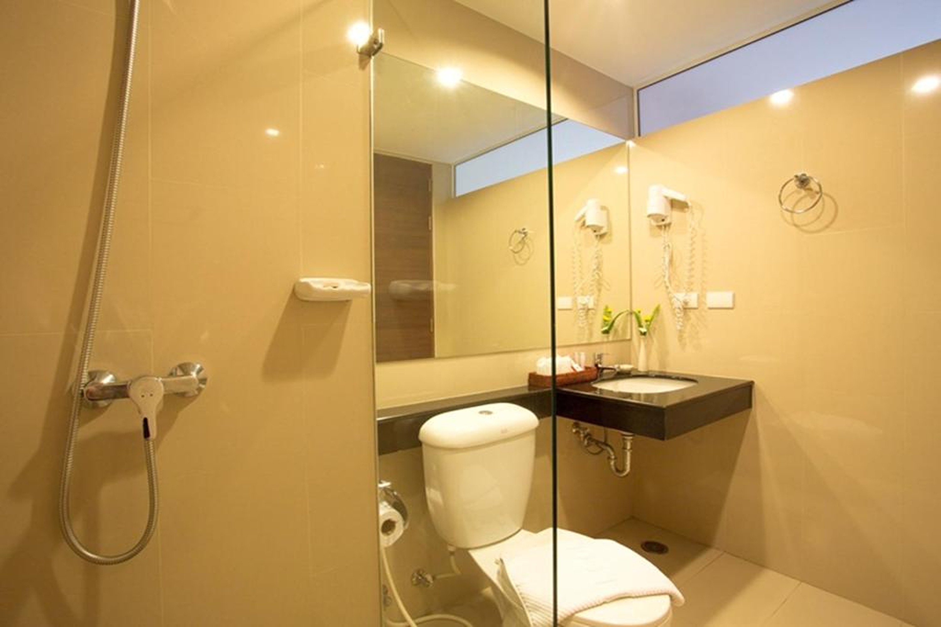 Double or Twin Superior