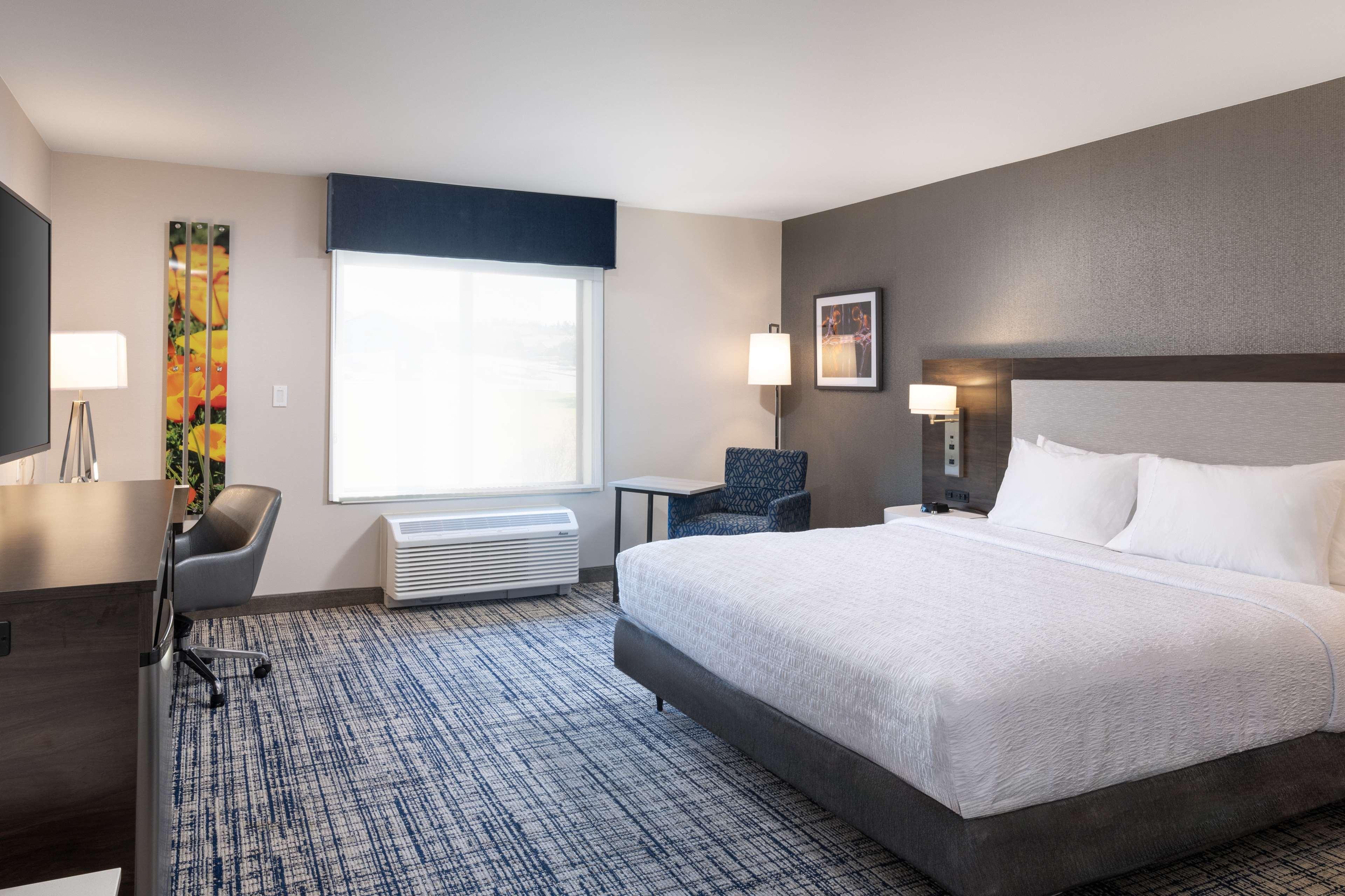 Studio King Size Bed