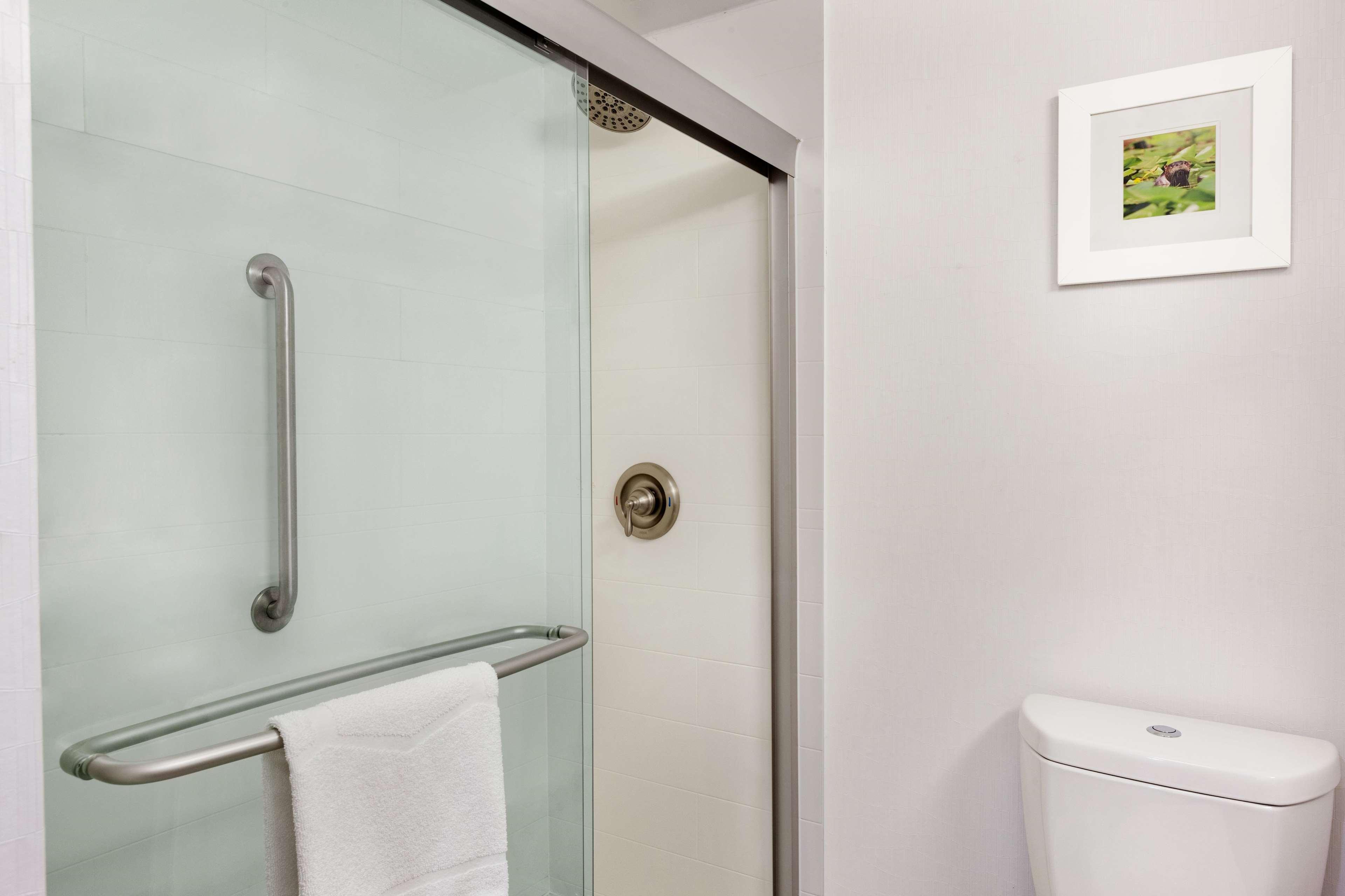 Studio King Bed Non Smoking