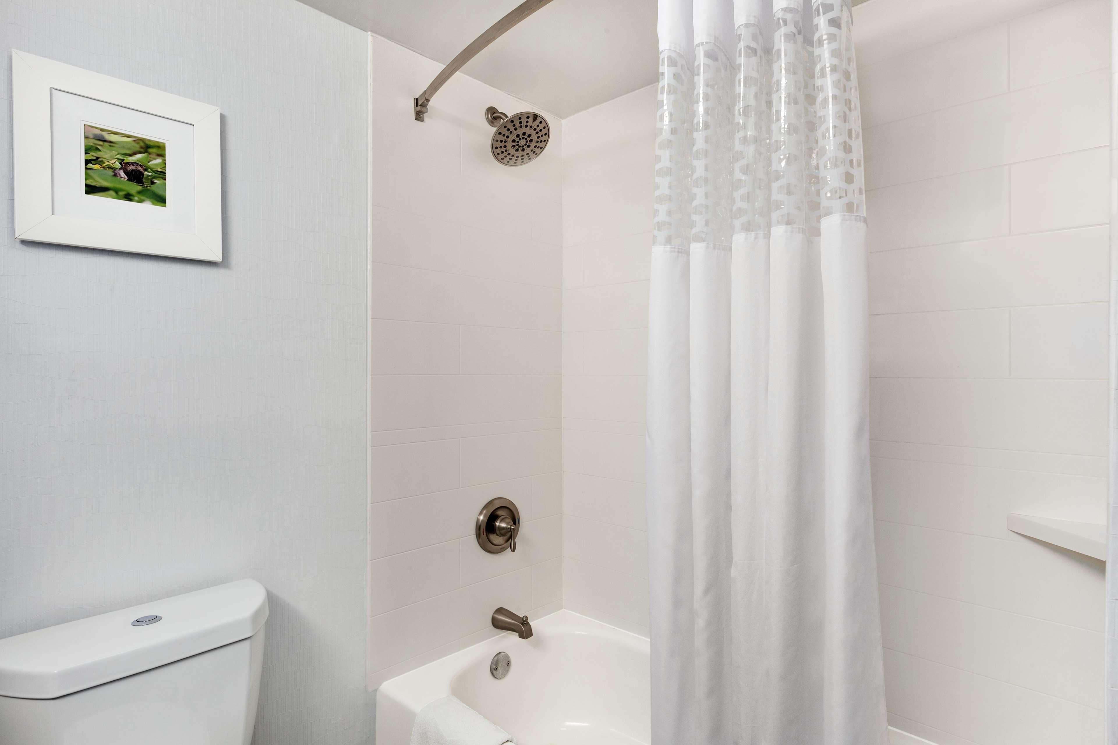 Double King Bed Non Smoking