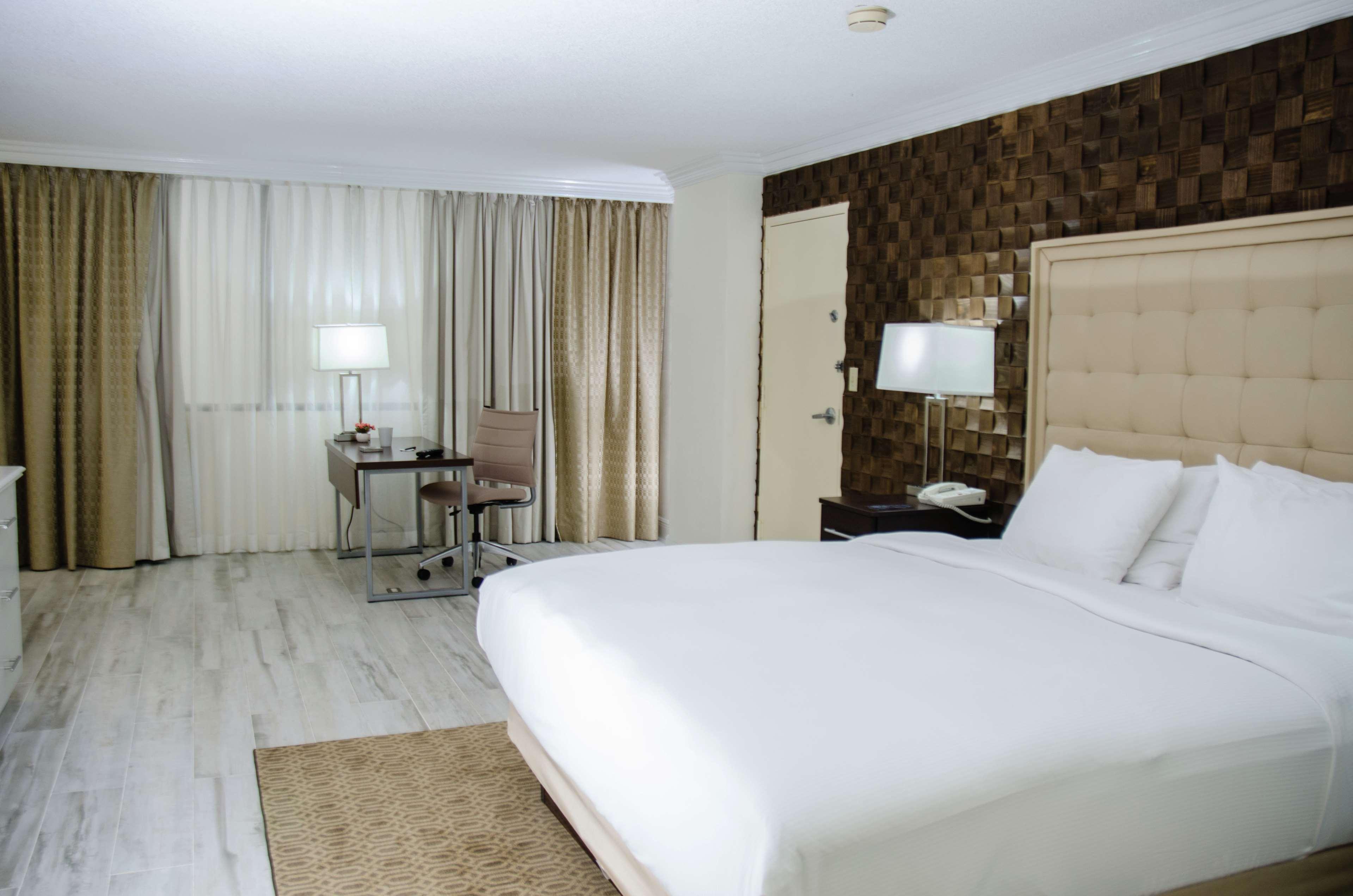 Suite King Bed One Bedroom 