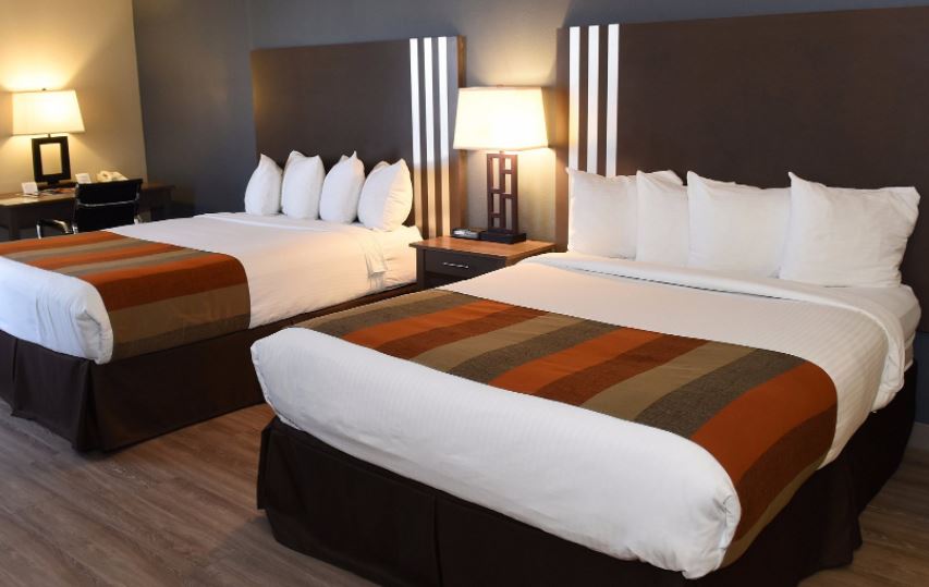 Double Two Queen Beds