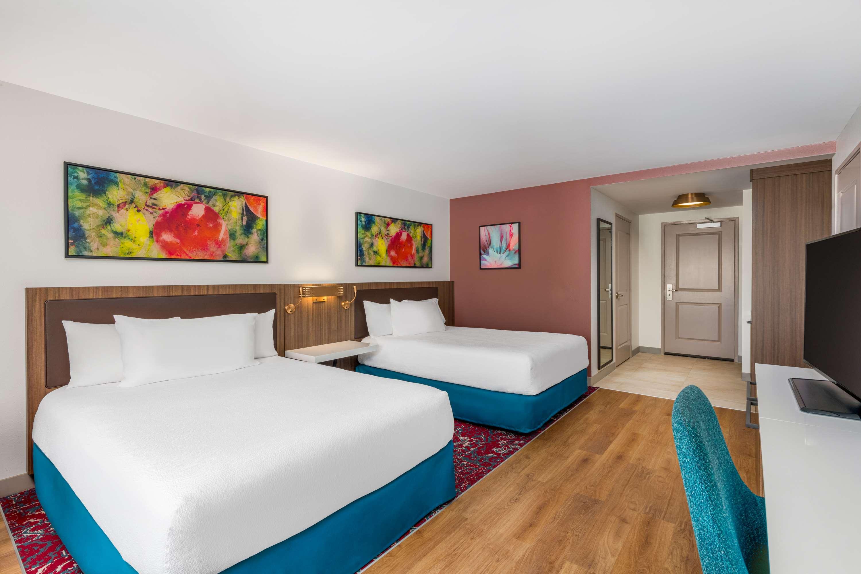 Double Two Queen Beds