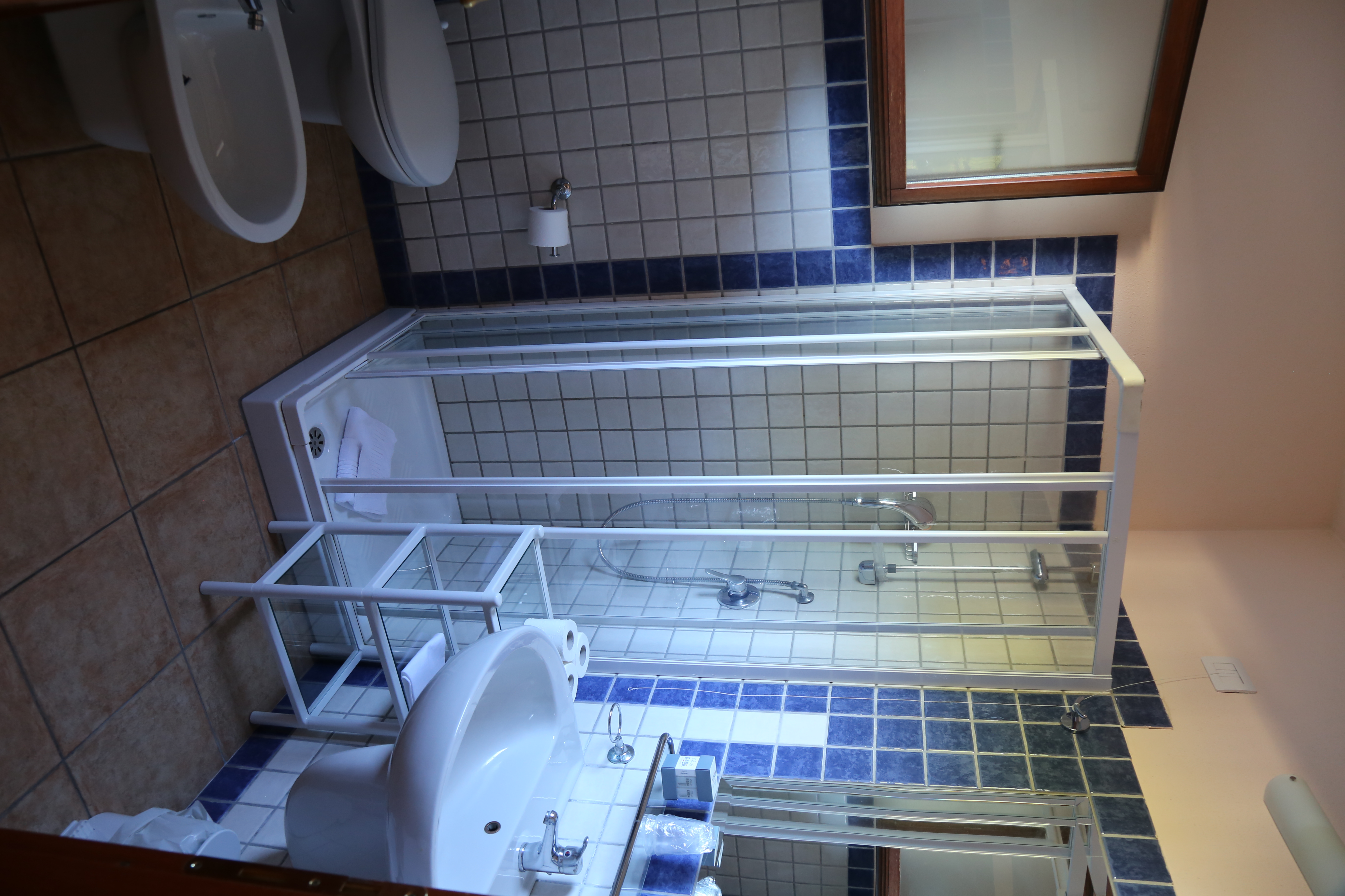 Double or Twin Standard