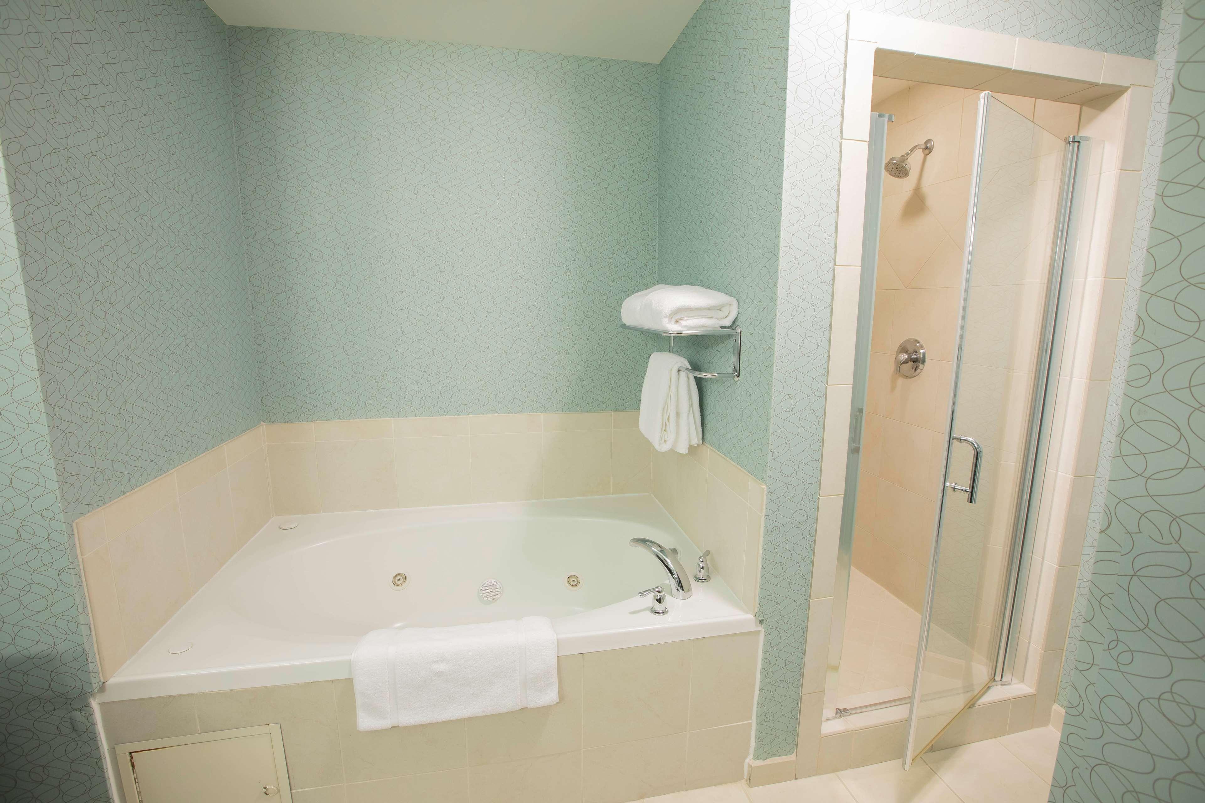 Suite King Bed One Bedroom 