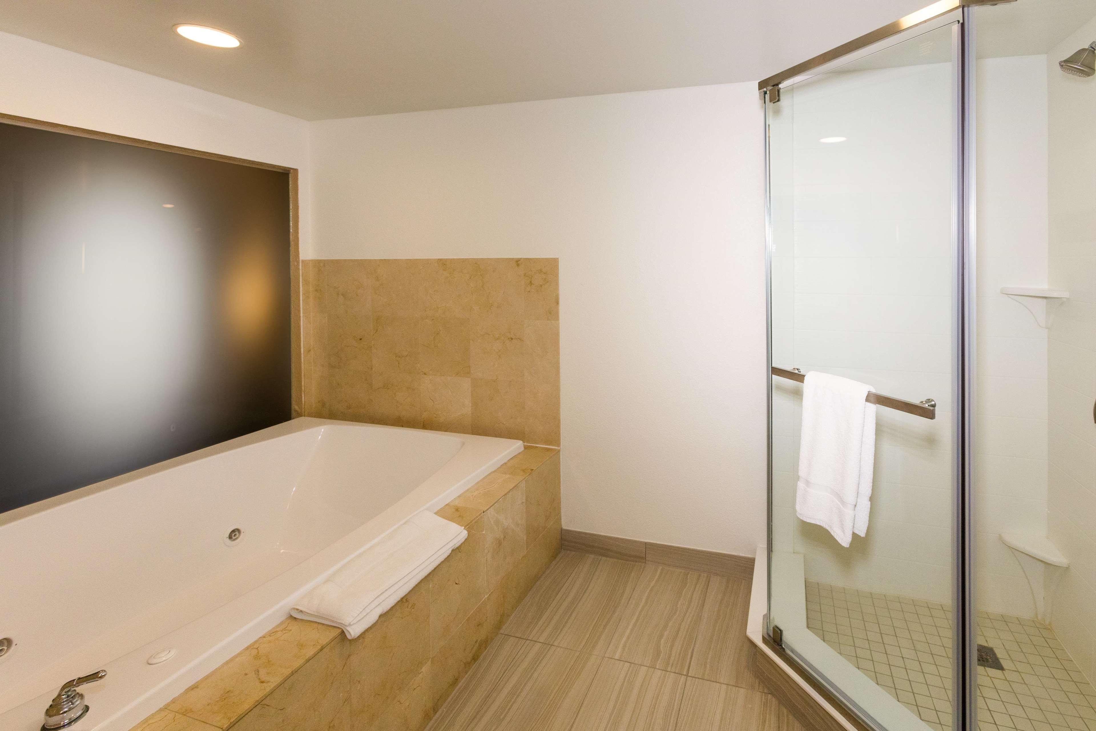 Suite King Bed One Bedroom 