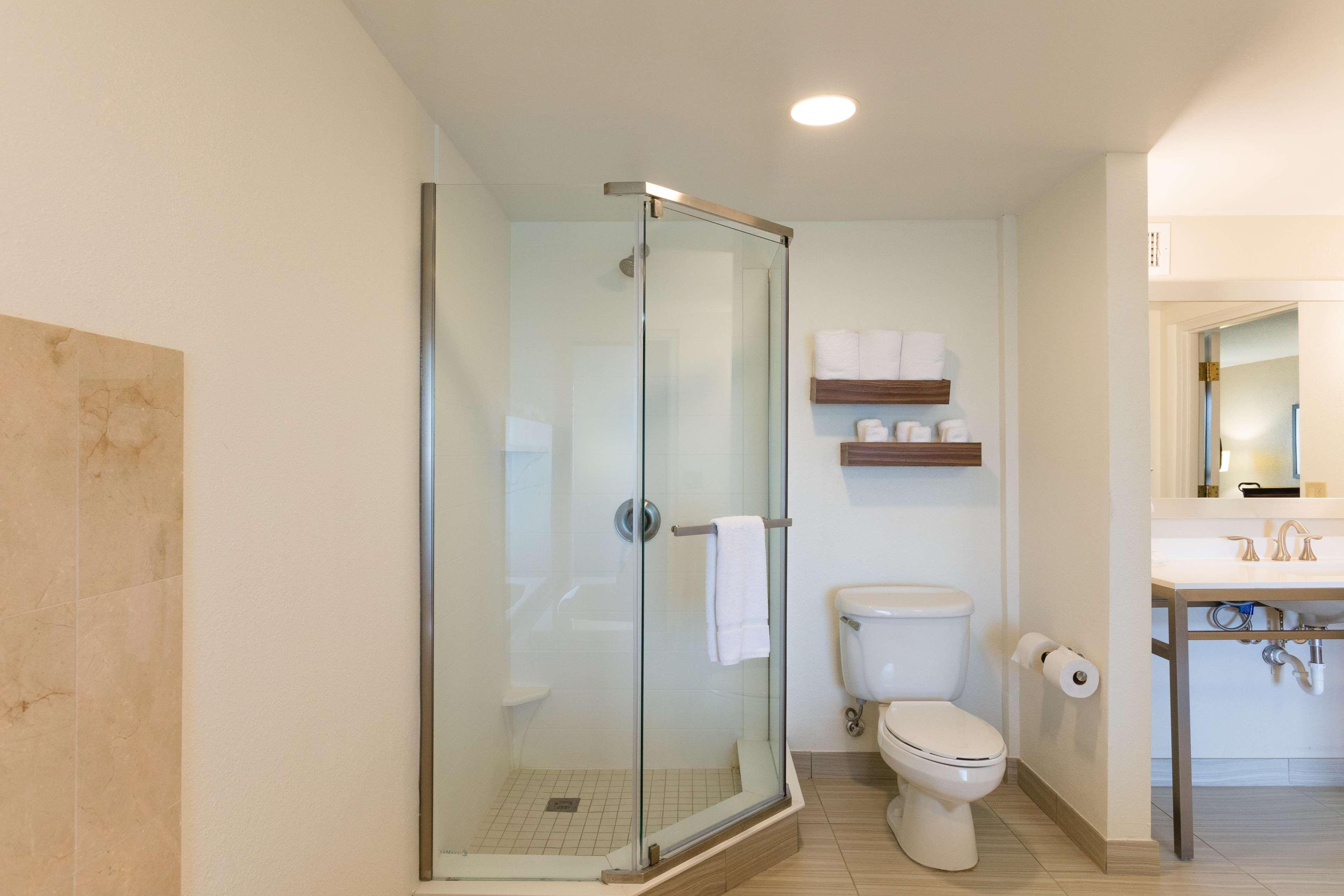 Suite King Bed One Bedroom 