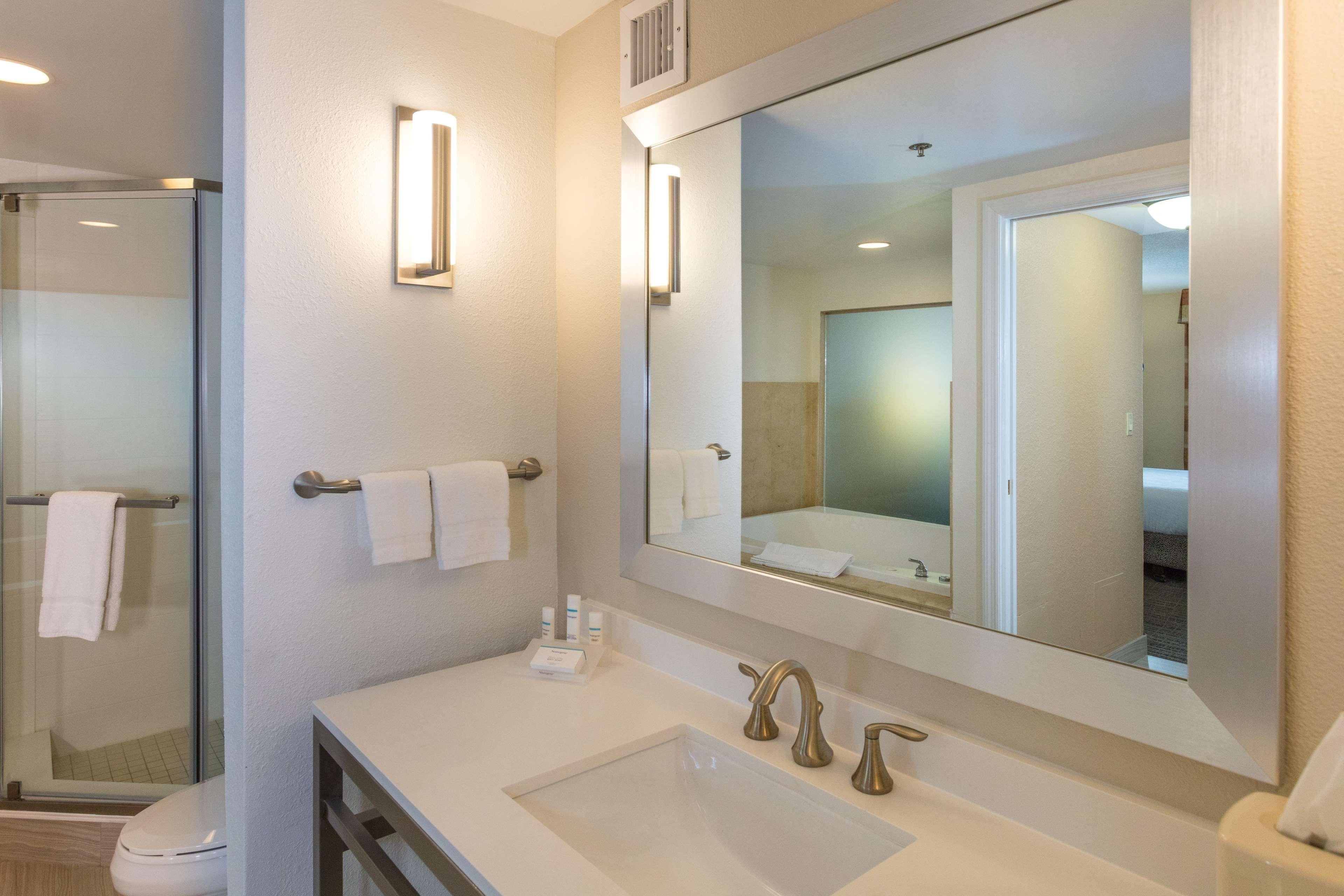 Suite King Bed One Bedroom 