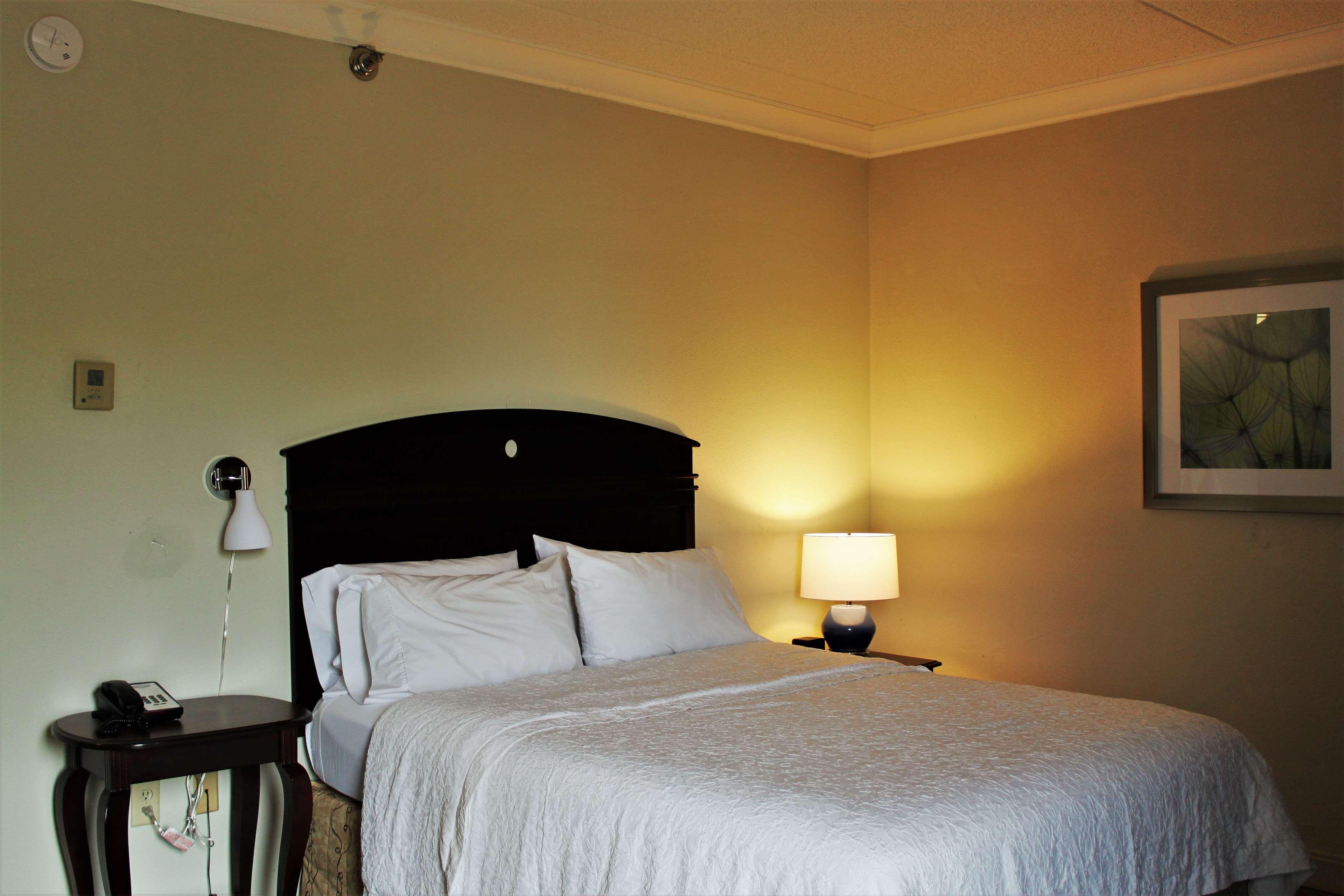 Double Queen Size Bed