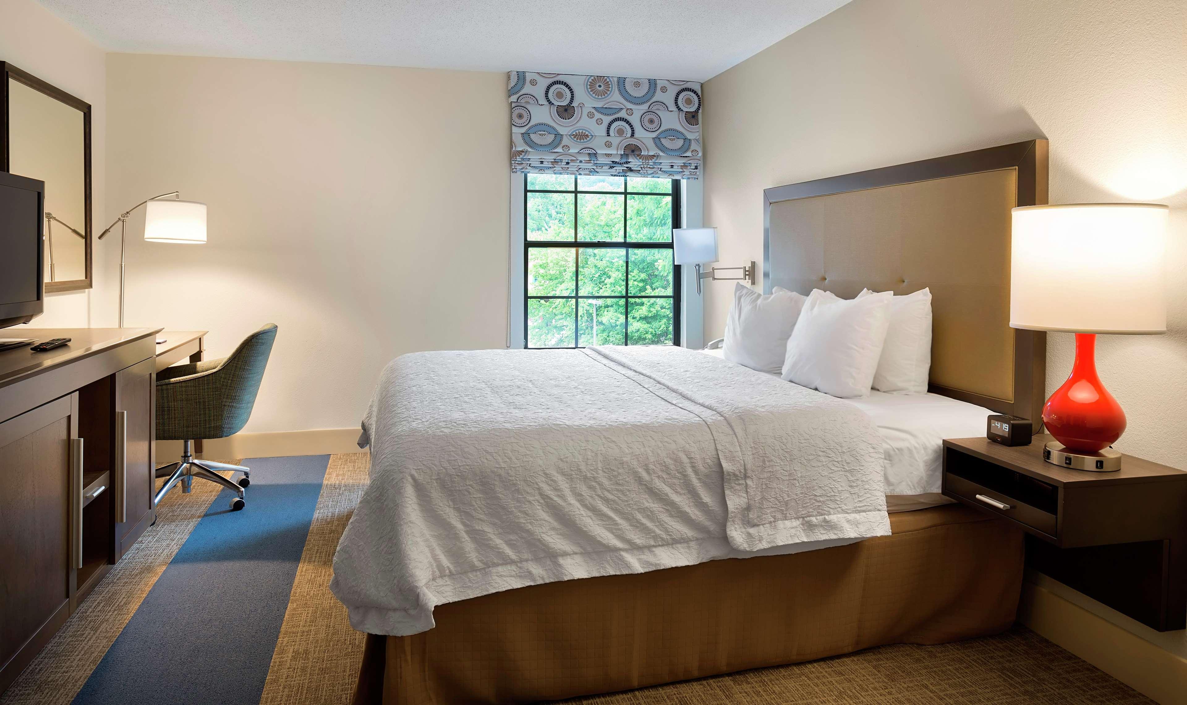 Suite King Bed One Bedroom 