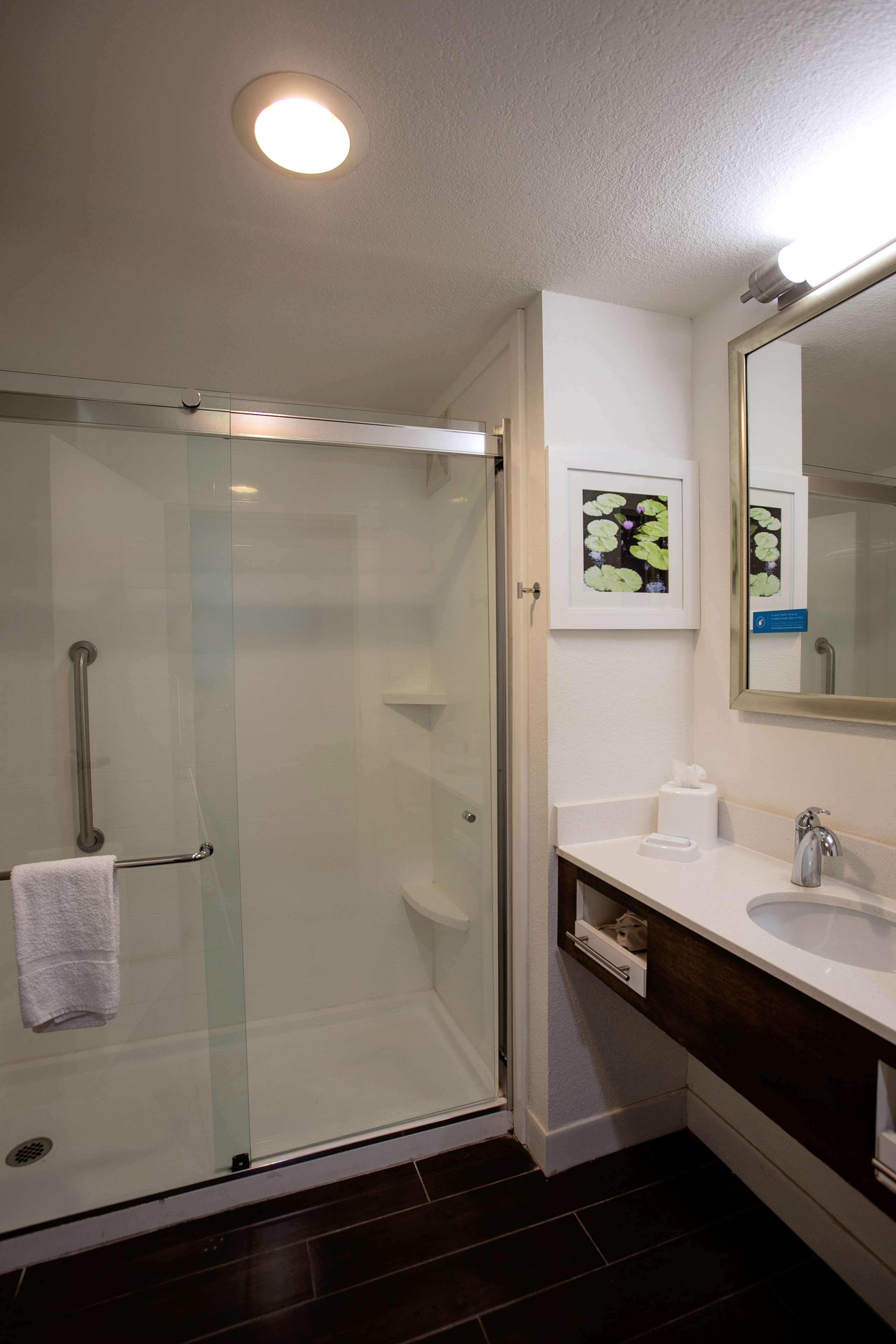 Double King Bed Non Smoking