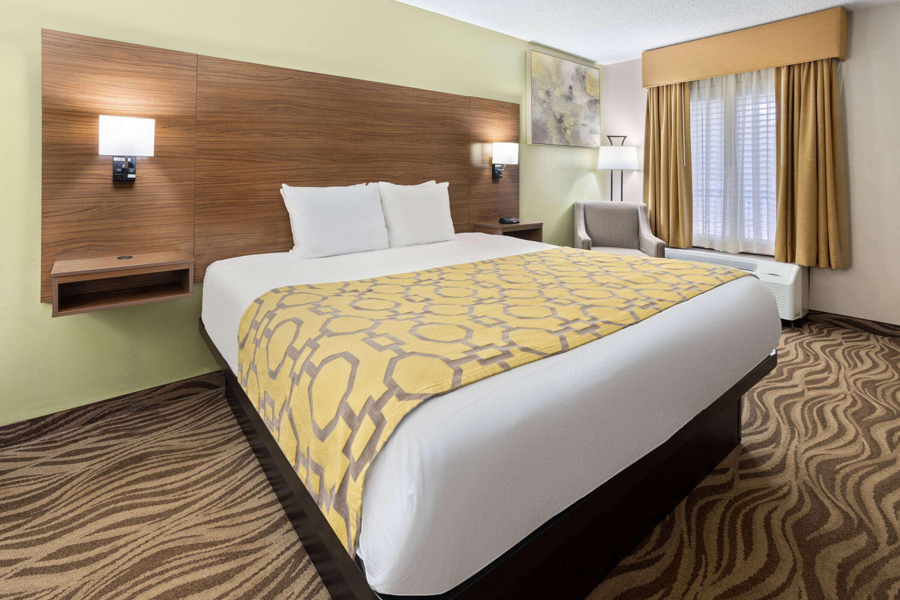 Suite King Bed Non Smoking