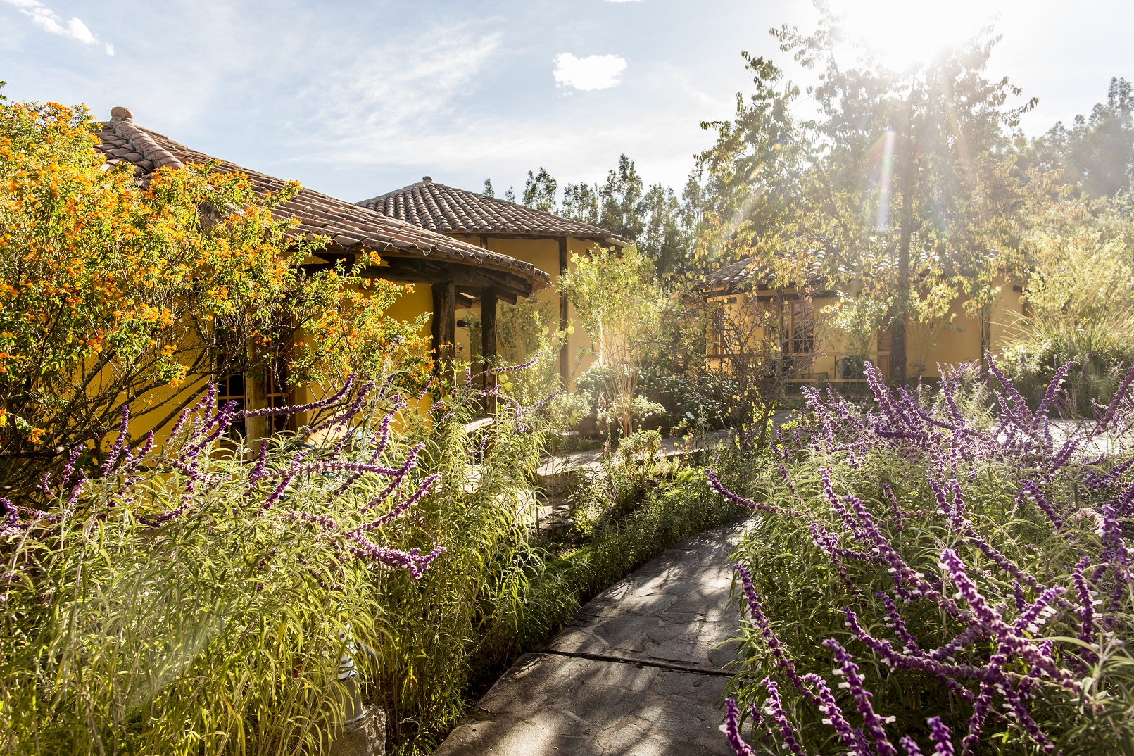 Double Superior King Bed