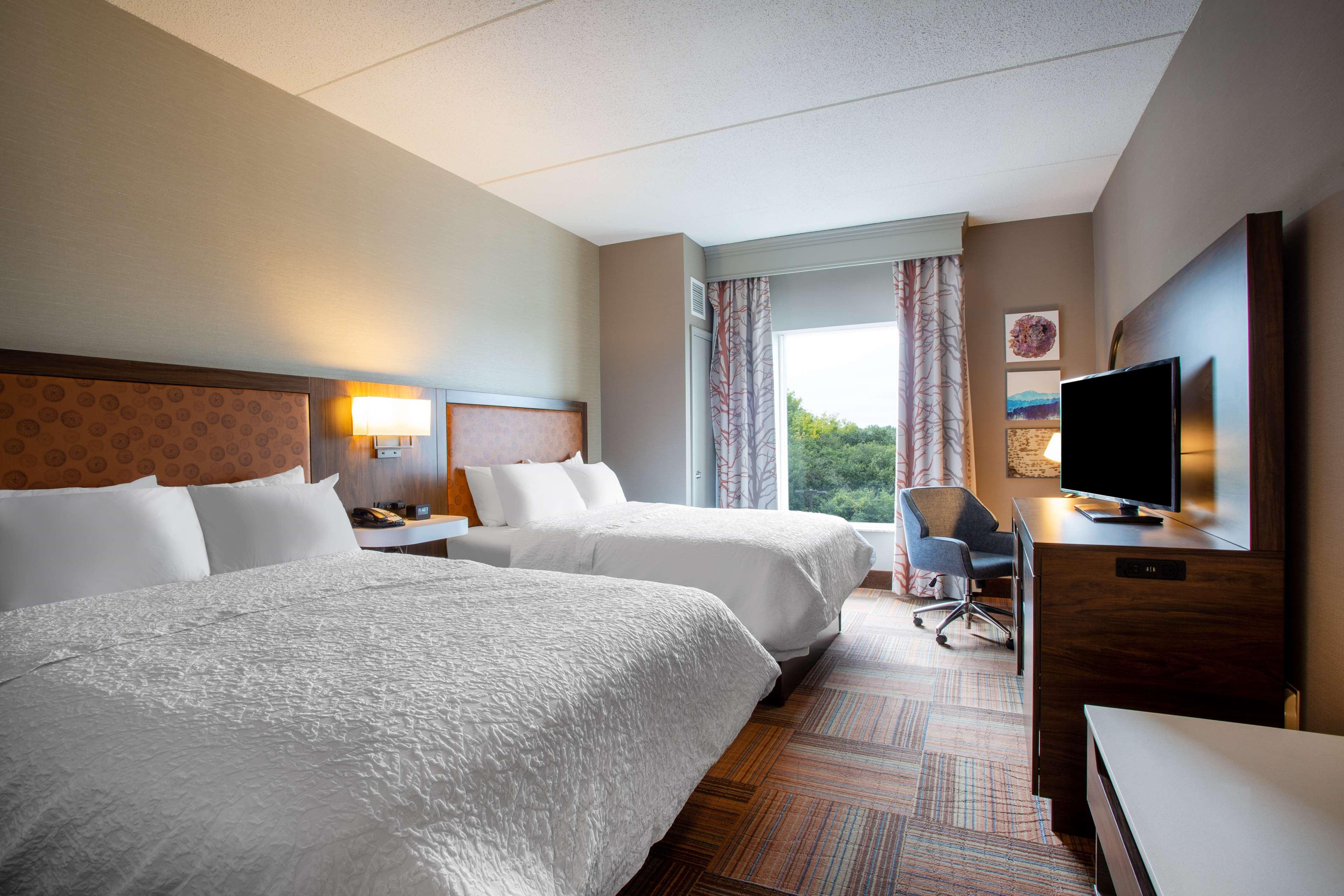 Double Two Queen Beds