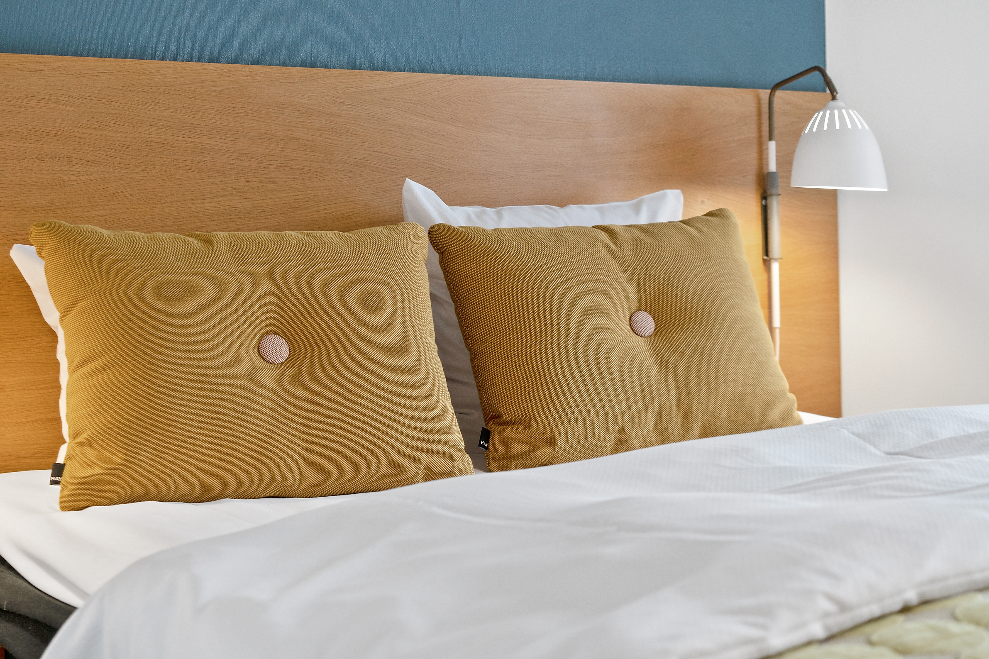 Double or Twin Economy