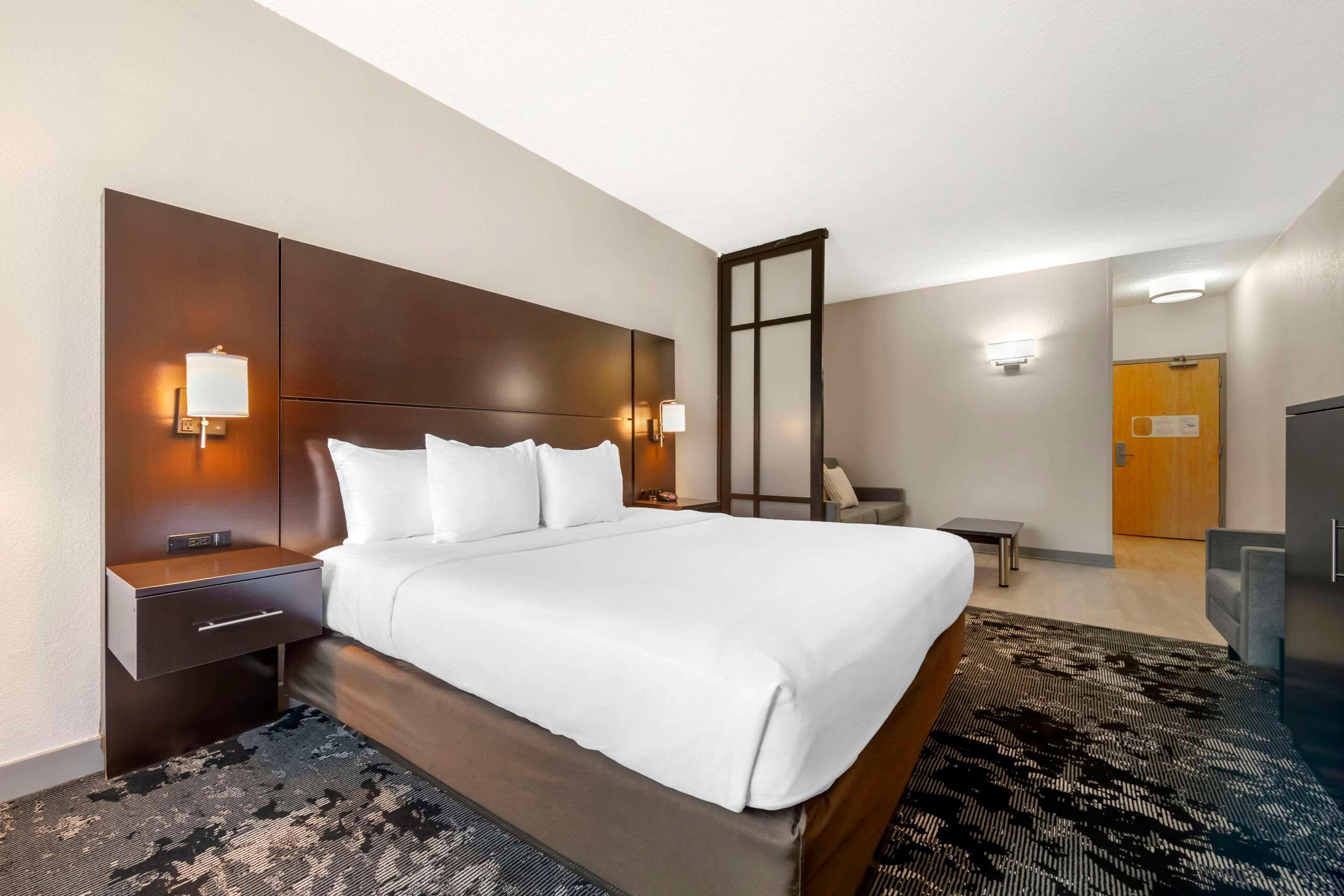 Suite King Bed Non Smoking