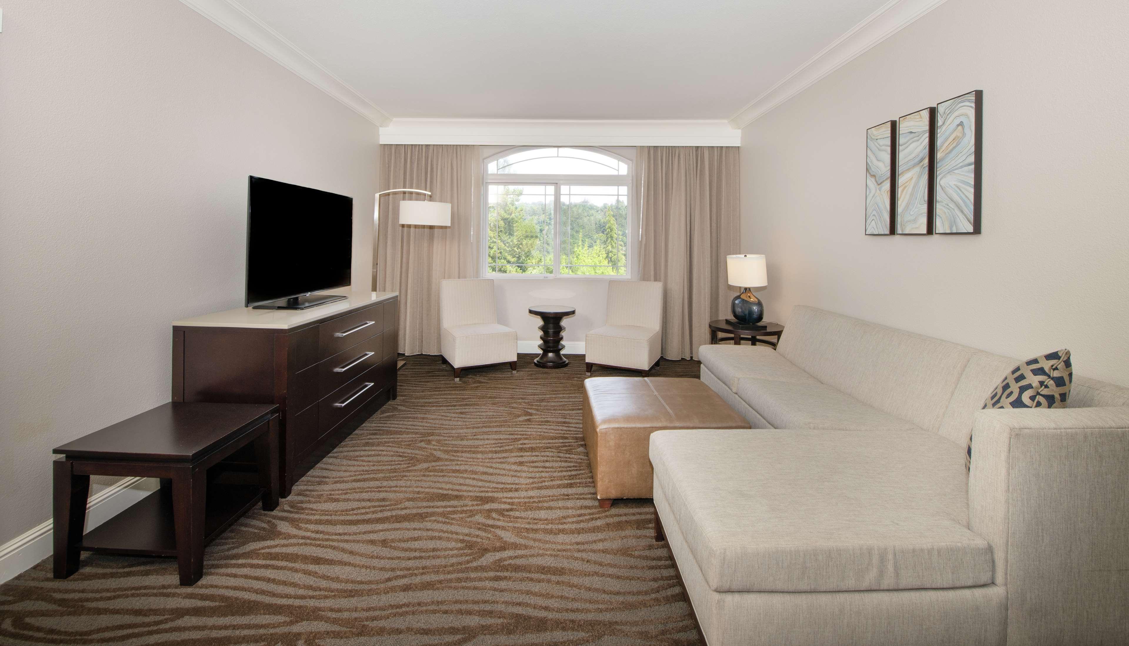 Suite King Bed One Bedroom 