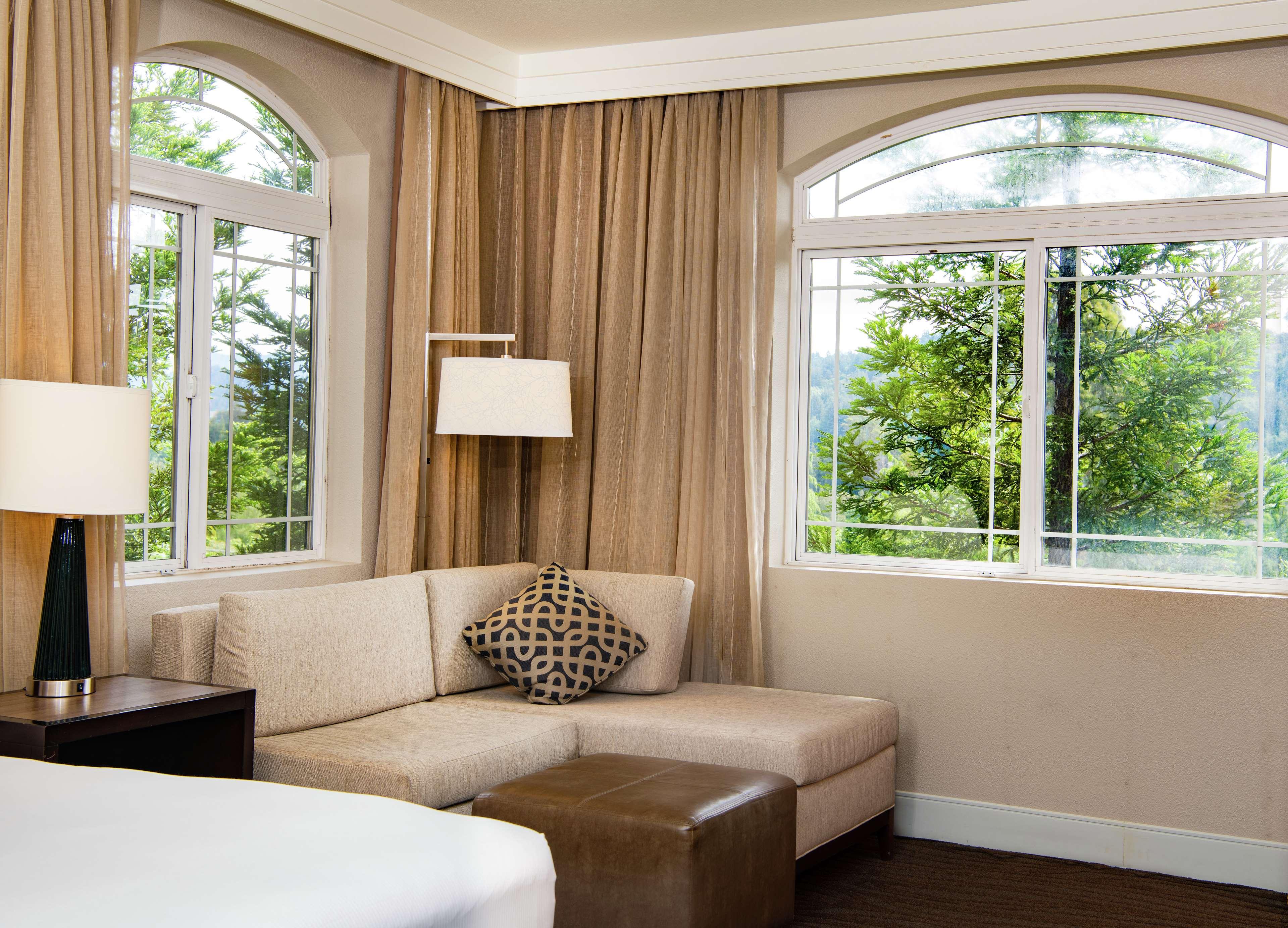 Suite Deluxe One Bedroom